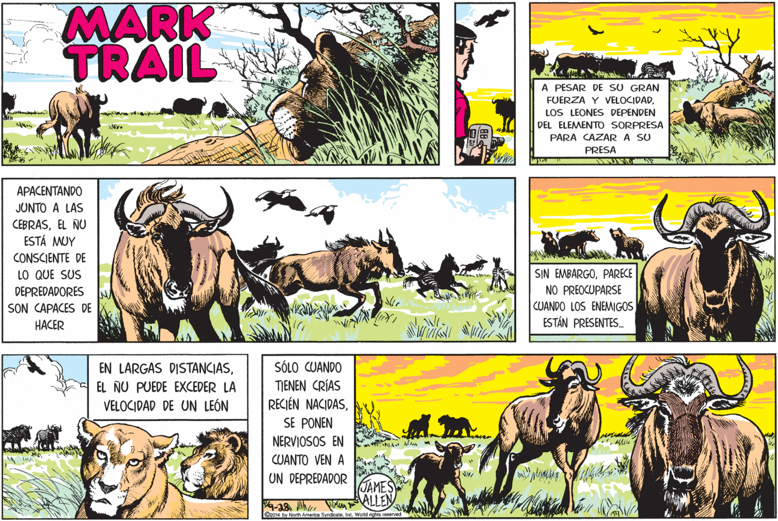 Terrestrial animal OCR: MARK TRAIL A PESAR DE SU GRAN FUERZA Y VELOCIDADLOS LEONES DEPENDEN DEL ELEMENTO SORPRESA PARA CAZAR A SU PRESA APACENTANDO JUNTO A LAS CEBRASEL ÑU ESTÁ MUY CONSCIENTE DE LO QUE SUS DEPREDADORES SON CAPACES DE SIN EMBARGOPARECE NO PREOCUPARSE CUANDO LOS ENEMIGOS ESTÁN PRESENTES. HACER SÓLO CUANDO EN LARGAS DISTANCIASEL ÑU PUEDE EXCEDER LA VELOCIDAD DE UN LEÓN TIENEN CRÍAS RECIÉN NACIDASSE PONEN NERVIOSOS EN CUANTO VEN A UN DEPREDADOR JAMES -18 he enALLEN Seo4 by Norh America SyndicateIne. Werld ni MARK TRAIL A PESAR DE SU GRAN FUERZA Y VELOCIDADLOS LEONES DEPENDEN DEL ELEMENTO SORPRESA PARA CAZAR A SU PRESA APACENTANDO JUNTO A LAS CEBRASEL ÑU ESTÁ MUY CONSCIENTE DE LO QUE SUS DEPREDADORES SON CAPACES DE SIN EMBARGOPARECE NO PREOCUPARSE CUANDO LOS ENEMIGOS ESTÁN PRESENTES. HACER SÓLO CUANDO EN LARGAS DISTANCIASEL ÑU PUEDE EXCEDER LA VELOCIDAD DE UN LEÓN TIENEN CRÍAS RECIÉN NACIDASSE PONEN NERVIOSOS EN CUANTO VEN A UN DEPREDADOR JAMES -18 he enALLEN Seo4 by Norh America SyndicateIne. Werld ni