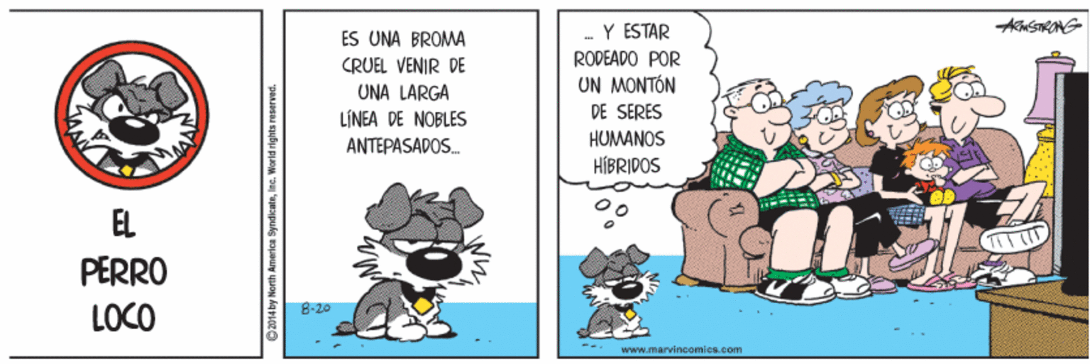 Terrestrial animal OCR: ES UNA BROMA Y ESTAR RODEADO POR UN MONTÓN DE SERES CRUEL VENIR DE UNA LÁRGA LÍNEA DE NOBLES ANTEPASADOS. HUMANOS HÍBRIDOS EL PERRO LOCO 8-20 www.marvineamies.eom ES UNA BROMA Y ESTAR RODEADO POR UN MONTÓN DE SERES CRUEL VENIR DE UNA LÁRGA LÍNEA DE NOBLES ANTEPASADOS. HUMANOS HÍBRIDOS EL PERRO LOCO 8-20 www.marvineamies.eom