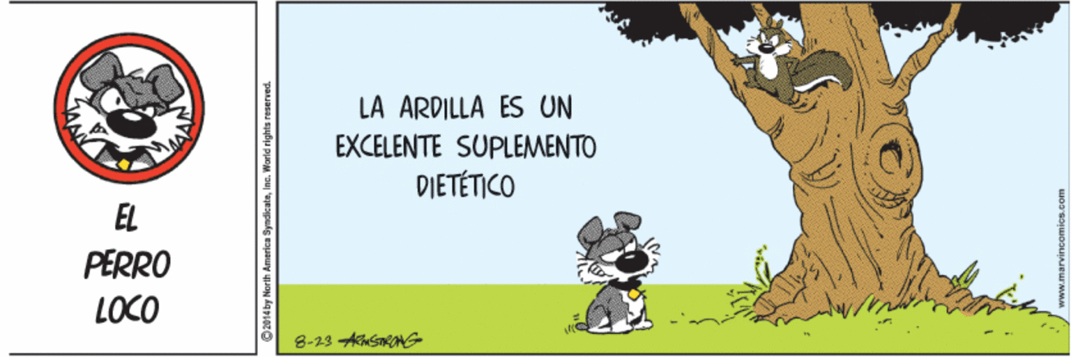 Internet meme OCR: LA ARDILLA ES UN EXCELENTE SUPLEMENTO DIETÉTICO EL PERRO LOCO 8-13 ASRMG LA ARDILLA ES UN EXCELENTE SUPLEMENTO DIETÉTICO EL PERRO LOCO 8-13 ASRMG