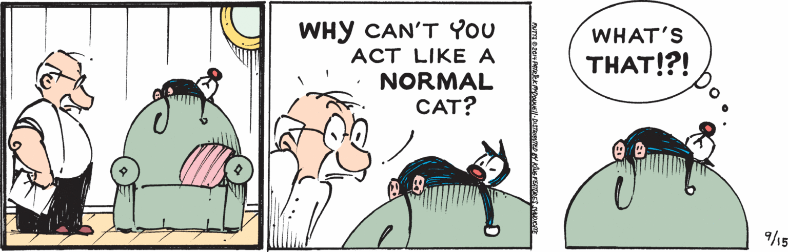 Adaptation OCR: WHY CAN'T YOU ?CT LIKE ? NORMAL CAT? WHAT'S THAT!?! 9/15 WHY CAN'T YOU ?CT LIKE ? NORMAL CAT? WHAT'S THAT!?! 9/15