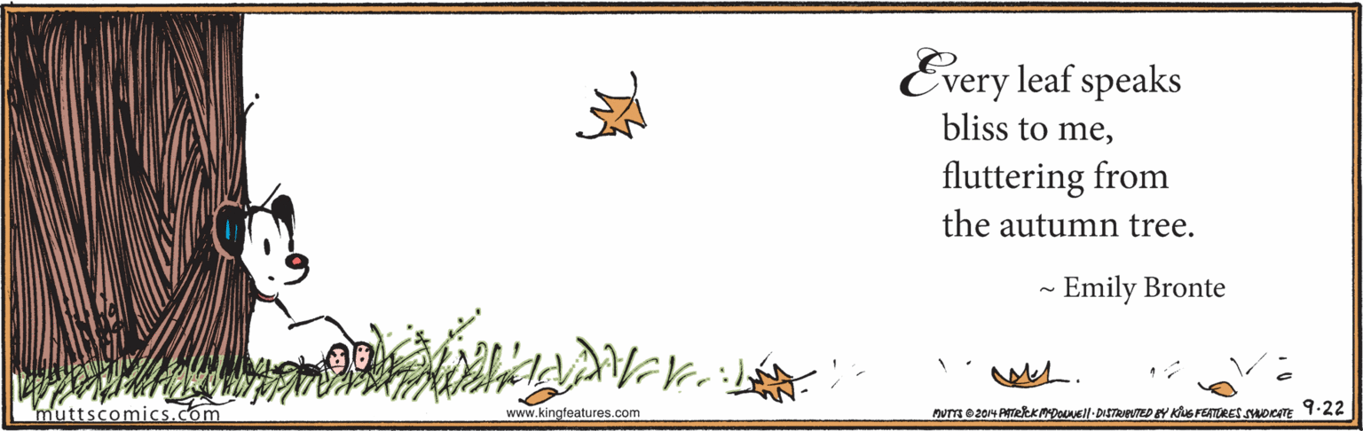 Brand OCR: Every leaf speaks bliss to mefluttering from the autumn tree. - Emily Bronte muttscomics.com www.kingfeatures.com DUm e204 ATRRKMpll- DISTRUPUTED EY KUS FEATURES sADer 9.22 Every leaf speaks bliss to mefluttering from the autumn tree. - Emily Bronte muttscomics.com www.kingfeatures.com DUm e204 ATRRKMpll- DISTRUPUTED EY KUS FEATURES sADer 9.22