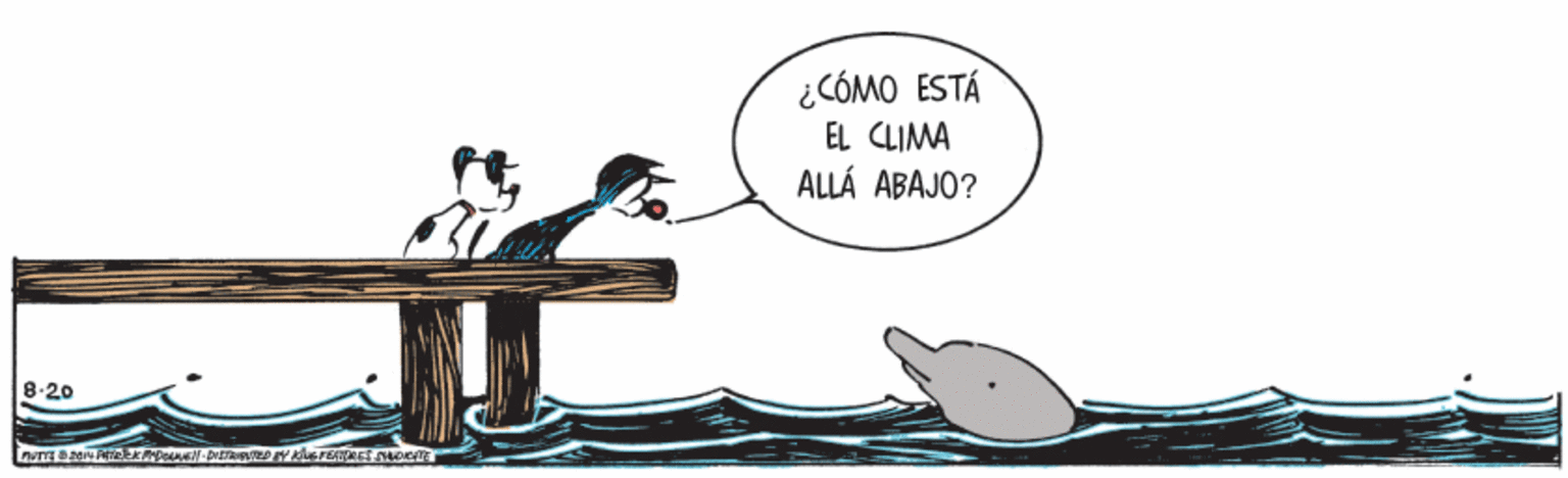 Fin OCR: ¿CÓMO ESTÁ EL CLIMA ALLÁ ABAJO? 8:20 ¿CÓMO ESTÁ EL CLIMA ALLÁ ABAJO? 8:20