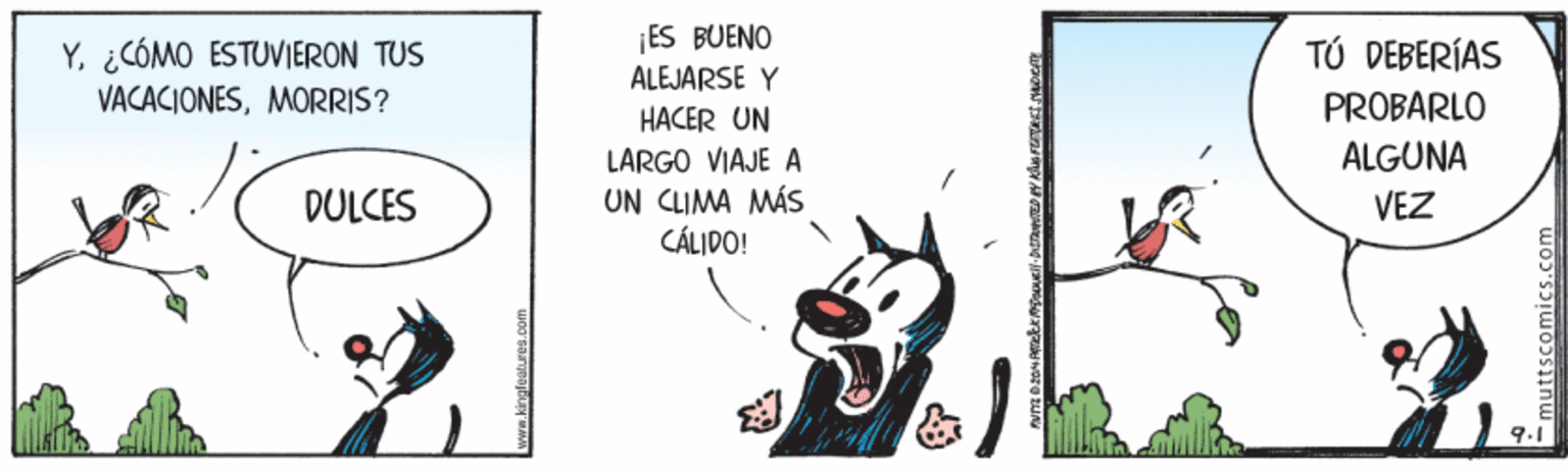 Illustration OCR: ¡ES BUENO Y¿CÓMO ESTUVIERON TUS VACACIONESMORRIS? TÚ DEBERÍAS ALEJARSE Y PROBARLO HACER UN ALGUNA LARGO VIAJE A UN CLIMA MÁS CÁLIDO! DULCES VEZ www.kingleatures.com muttscomicsS.com ¡ES BUENO Y¿CÓMO ESTUVIERON TUS VACACIONESMORRIS? TÚ DEBERÍAS ALEJARSE Y PROBARLO HACER UN ALGUNA LARGO VIAJE A UN CLIMA MÁS CÁLIDO! DULCES VEZ www.kingleatures.com muttscomicsS.com
