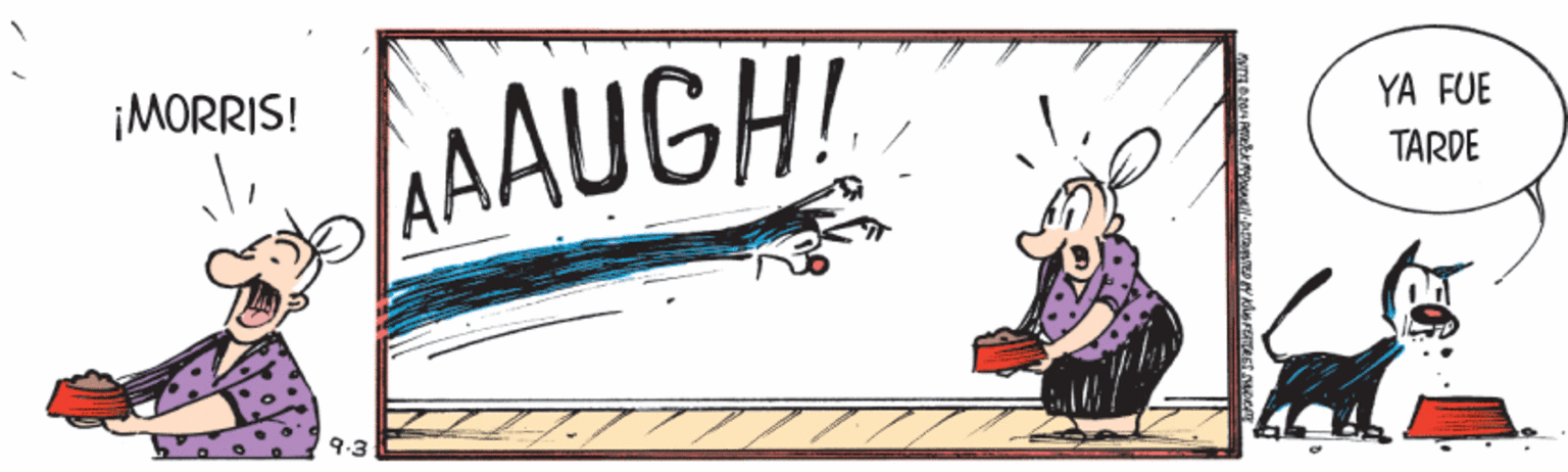 Graffiti OCR: ¡MORRIS! AAAUGH! YA FUE TARDE 9.3 ¡MORRIS! AAAUGH! YA FUE TARDE 9.3