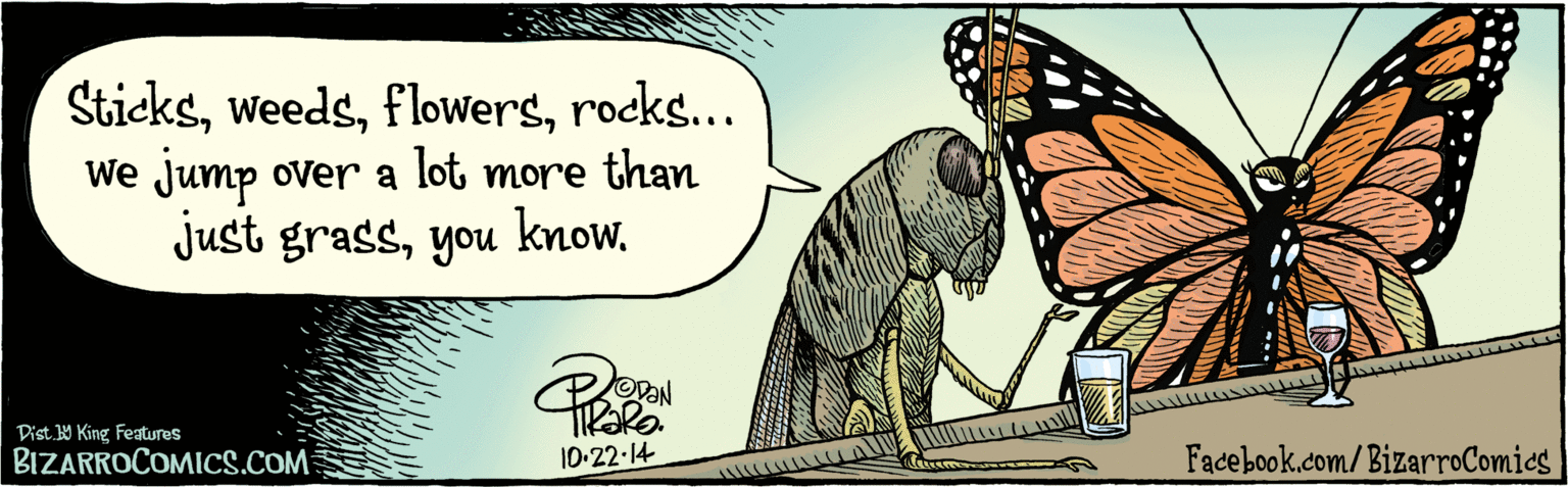 Moths and butterflies OCR: BIZARROCOMICS.COM / Facebook.com/BizarroComies Sticksrocks... We jump over a lot more than just grassyou know. OVAN O.10-22·14. Dist Y King Features BIZARROCOMICS.COM / Facebook.com/BizarroComies Sticksrocks... We jump over a lot more than just grassyou know. OVAN O.10-22·14. Dist Y King Features