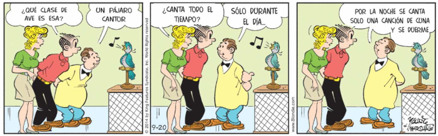 Illustration OCR: ¿QUÉ CLASE DE AVE ES ESA? ¿CANTA TODO EL TIEMPO? UN PÁJÁRO CANTOR SÓLO DURANTE POR LA NOCHE SE CANTA SOLO UNA CANCIÓN DE CUNA Y SE DUERMEEL DÍA. yante 9-20 ¿QUÉ CLASE DE AVE ES ESA? ¿CANTA TODO EL TIEMPO? UN PÁJÁRO CANTOR SÓLO DURANTE POR LA NOCHE SE CANTA SOLO UNA CANCIÓN DE CUNA Y SE DUERMEEL DÍA. yante 9-20