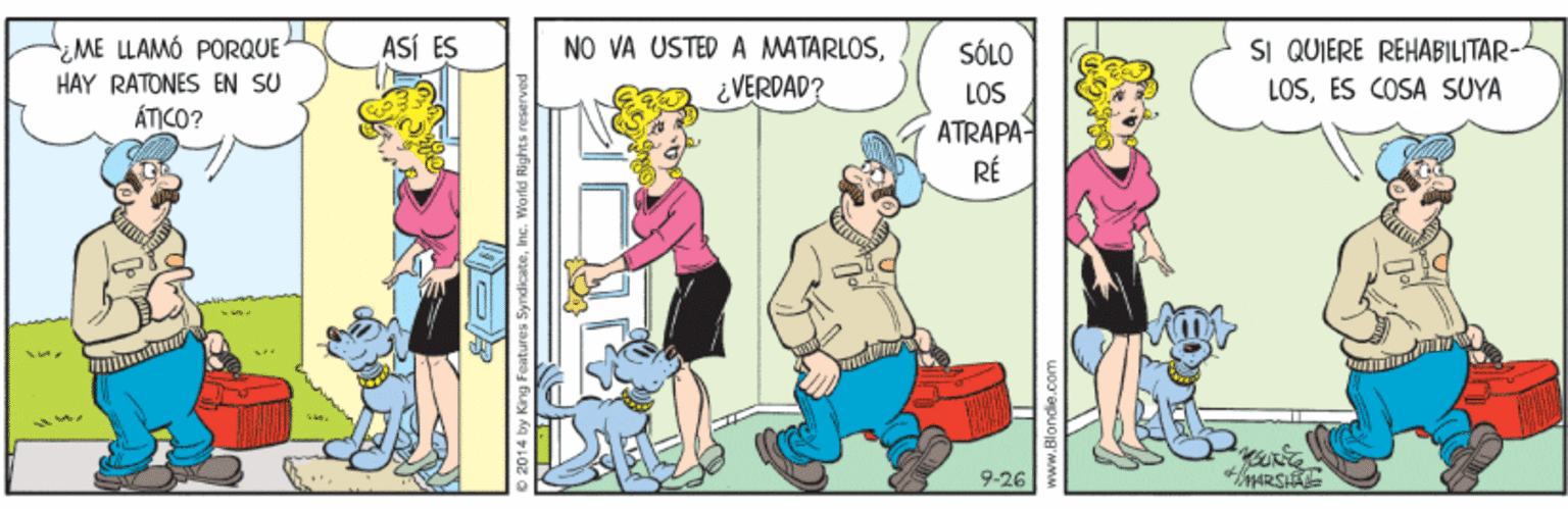Line OCR: tME LLAMÓ PORQUE HÀY RATONES EN SU ÁTIKO? SI QUIERE REHABILITAR- LOSES COSA SUYA ASÍ ES NO VA USTED A MATARLOSSÓLO ¿VERDAD? LOS ATRAPA RÉ 9-26 tME LLAMÓ PORQUE HÀY RATONES EN SU ÁTIKO? SI QUIERE REHABILITAR- LOSES COSA SUYA ASÍ ES NO VA USTED A MATARLOSSÓLO ¿VERDAD? LOS ATRAPA RÉ 9-26
