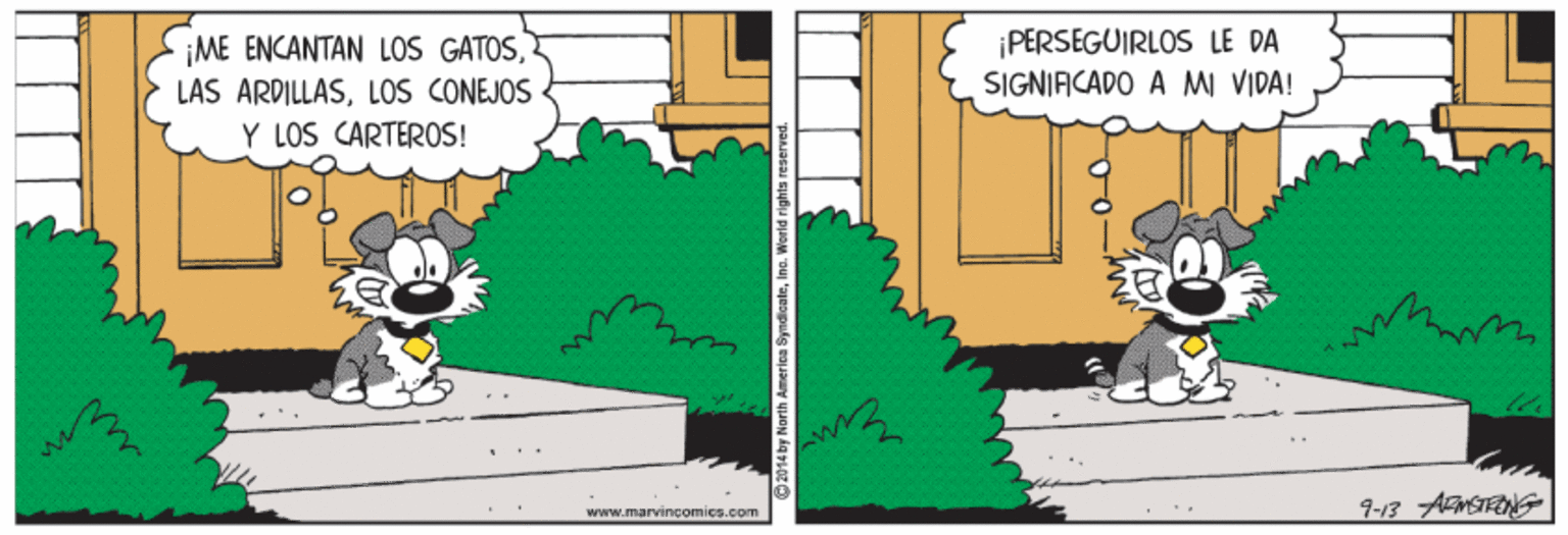 Art OCR: ¡ME ENCANTAN LOS GATOSLOS CONEJOS Y LOS CARTEROS! ¡PERSEGUIRLOS LE DA SIGNIACADO A MI VIDA! 9-13 AFMSTE www.marvincomics.com ¡ME ENCANTAN LOS GATOSLAS ARDILLASLOS CONEJOS Y LOS CARTEROS! ¡PERSEGUIRLOS LE DA SIGNIACADO A MI VIDA! 9-13 AFMSTE www.marvincomics.com