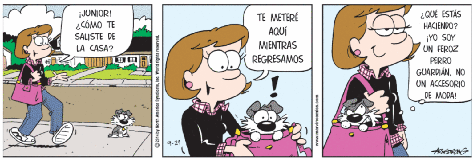 Line OCR: JUNIOR! ¿CÓMO TE SALISTE DE ¿QUÉ ESTÁS TE METERÉ AQUÍ MIENTRAS HACIENDO? ¡YO SOY UN FEROZ LA CASA? ?? REGRESAMOS PERRO GUARDIÁNNO UN ACCESORIO DE MODA! 9-29 ww.marvincomics.com JUNIOR! ¿CÓMO TE SALISTE DE ¿QUÉ ESTÁS TE METERÉ AQUÍ MIENTRAS HACIENDO? ¡YO SOY UN FEROZ LA CASA? ?? REGRESAMOS PERRO GUARDIÁNNO UN ACCESORIO DE MODA! 9-29 ww.marvincomics.com