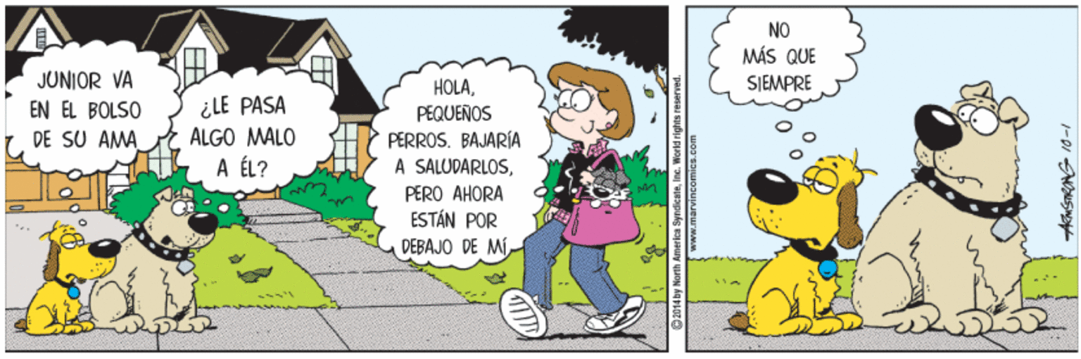 Line OCR: NO MÁS QUE JUNIOR VA EN EL BOLSO DE SU AMA SIEMPRE ¿LE PASA ALGO MALO HOLAPEQUEÑOS PERROS. BAJARÍA A SALUDARLOSA ÉL? PERO AHORA ESTÁN POR DEBAJO DE MÍ 2014 by North America SyndikaleI NO MÁS QUE JUNIOR VA EN EL BOLSO DE SU AMA SIEMPRE ¿LE PASA ALGO MALO HOLAPEQUEÑOS PERROS. BAJARÍA A SALUDARLOSA ÉL? PERO AHORA ESTÁN POR DEBAJO DE MÍ 2014 by North America Syndikale