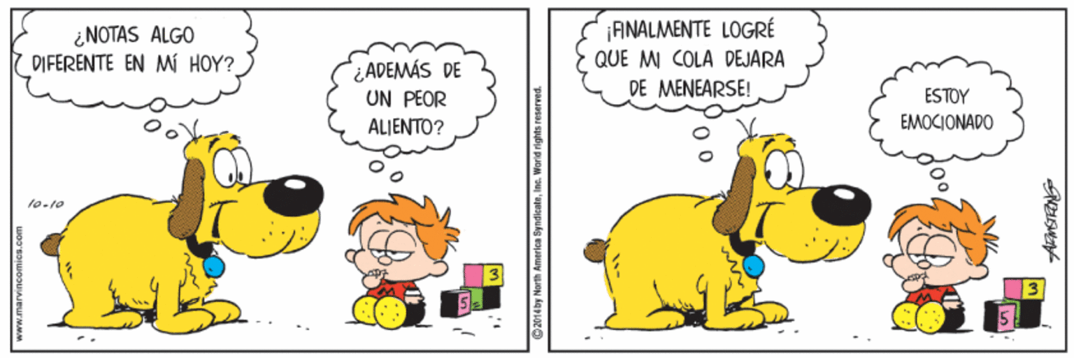 Humour OCR: ¿NOTAS ALGO DIFERENTE EN Mí HOY? ¡ANALMENTE LOGRÉ QUE M COLA DEJARA DE MENEARSE! ¿ADEMÁS DE UN PEOR ESTOY EMOCIONADO ALJENTO? ¿NOTAS ALGO DIFERENTE EN Mí HOY? ¡ANALMENTE LOGRÉ QUE M COLA DEJARA DE MENEARSE! ¿ADEMÁS DE UN PEOR ESTOY EMOCIONADO ALJENTO?