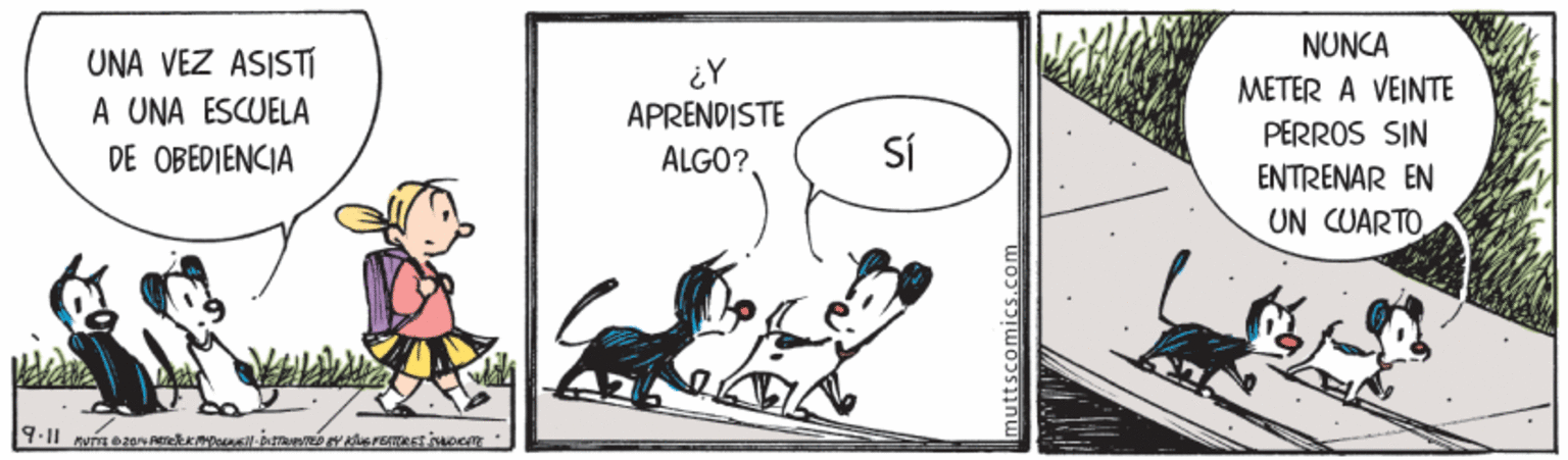 Plant OCR: NUNCA UNA VEZ ASISTI ¿Y APRENDISTE METER A VEINTE A UNA ESCUELA PERROS SIN ENTRENAR EN UN CUARTO DE OBEDIENCIA ALGO? SÍ nuttscomics.com NUNCA UNA VEZ ASISTI ¿Y APRENDISTE METER A VEINTE A UNA ESCUELA PERROS SIN ENTRENAR EN UN CUARTO DE OBEDIENCIA ALGO? SÍ nuttscomics.com