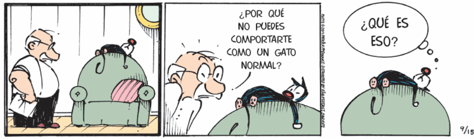 Happy OCR: ¿ POR QUÉ NO PUEDES ¿QUÉ ES COMPORTARTE ESO? COMO UN GATO NORMAL? ¿ POR QUÉ NO PUEDES ¿QUÉ ES COMPORTARTE ESO? COMO UN GATO NORMAL?