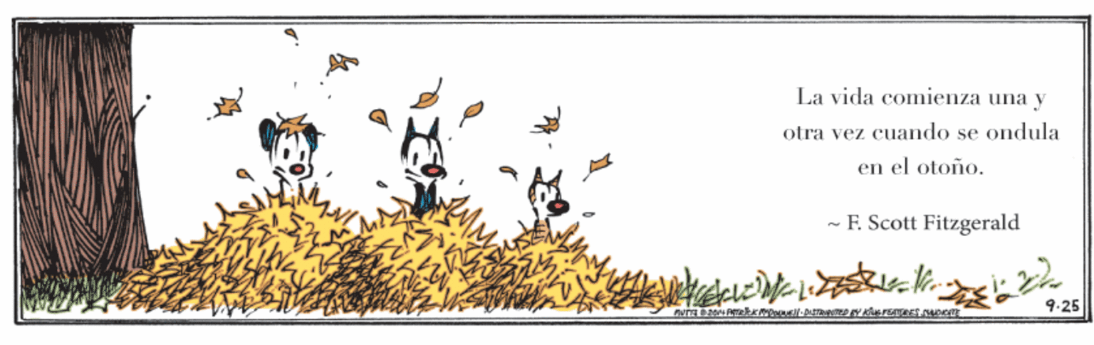 Illustration OCR: La vida comienza una y otra vez cuando se ondula en el otoño. - F. Scott Fitzgerald 9.25 La vida comienza una y otra vez cuando se ondula en el otoño. - F. Scott Fitzgerald 9.25