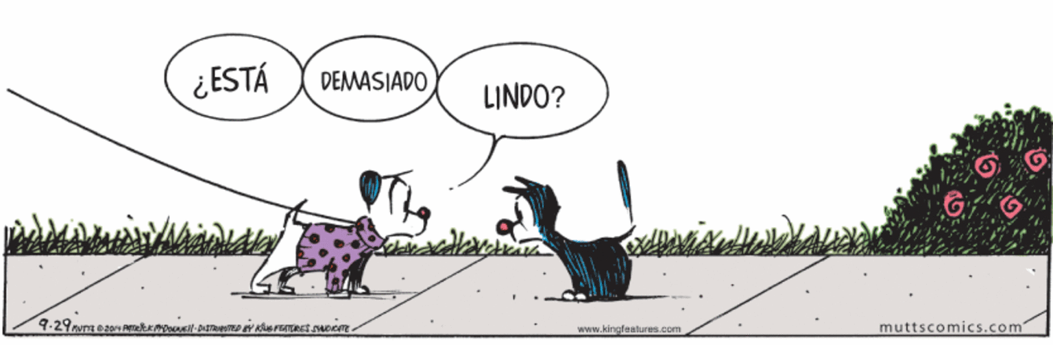 Adaptation OCR: ¿ESTÁ DEMASIADO LINDO? www.kingleatures.com muttscomics.com ¿ESTÁ DEMASIADO LINDO? www.kingleatures.com muttscomics.com