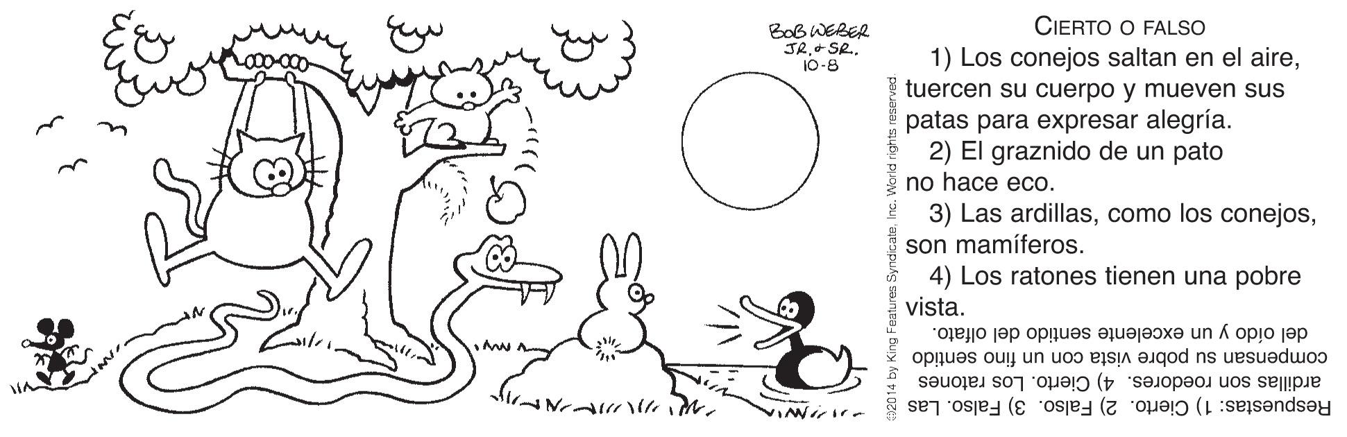 Font OCR: CIERTO O FALSO BoB WEBER JR+ SR.. 10-8 1) Los conejos saltan en el airetuercen su cuerpo y mueven sus patas para expresar alegría. 2) El graznido de un pato no hace eco. 3) Las ardillasson mamíferos. 4) Los ratones tienen una pobre vista. del oído y un excelente sentido del olfato. compensan su pobre vista con un fino sentido ardillas son roedores. 4) Cierto. Los ratones Respuestas: 1) Cierto. 2) Falso. 3) Falso. Las CIERTO O FALSO BoB WEBER JR+ SR.. 10-8 1) Los conejos saltan en el airetuercen su cuerpo y mueven sus patas para expresar alegría. 2) El graznido de un pato no hace eco. 3) Las ardillascomo los conejosson mamíferos. 4) Los ratones tienen una pobre vista. del oído y un excelente sentido del olfato. compensan su pobre vista con un fino sentido ardillas son roedores. 4) Cierto. Los ratones Respuestas: 1) Cierto. 2) Falso. 3) Falso. Las