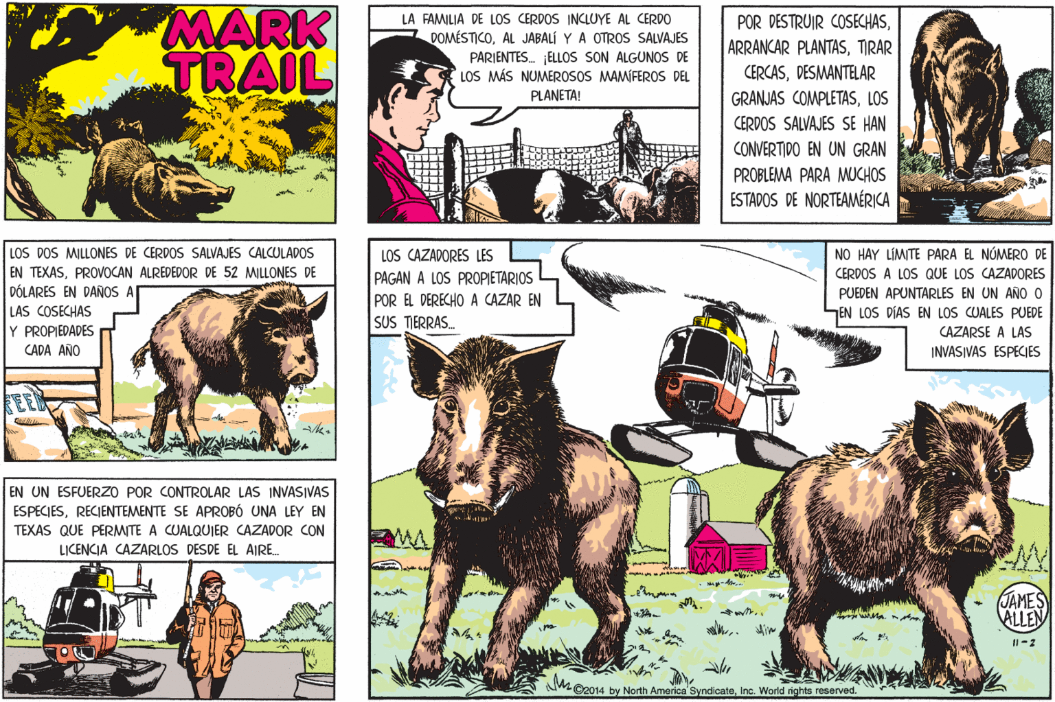 Publication OCR: MARK TRAIL LA FAMILIA DE LOS CERDOS INCLUYE AL CERDO DOMÉSTICOAL JABALÍ Y A OTROS SALVAJES PARIENTES. ELLOS SON ALGUNOS DE LOS MÁS NUMEROSOS MAMÍFEROS DEL POR DESTRUIR COSECHASTIRAR CERCASDESMANTELAR PLANETA! GRANJAS COMPLETASLOS CERDOS SALVAJES SE HAN CONVERTIDO EN UN GRAN PROBLEMA PARA MUCHOS ESTADOS DE NORTEAMÉRICA LOS DOS MILLONES DE CERDOS SALVAJES CALCULADOS EN TEXASPROVOCAN ALREDEDOR DE 52 MILLONES DE DÓLARES EN DAÑOS A LAS COSECHAS Y PROPIEDADES CADA AÑO NO HAY LÍMITE PARA EL NÓMERO DE LOS CAZADORES LES PAGAN A LOS PROPIETARIOS POR EL DERECHO A CAZAR EN SUS TIERRAS. CERDOS A LOS QUE LOS CAZADORES PUEDEN APUNTARLES EN UN AÑO O EN LOS DÍAS EN LOS CUALES PUEDE CAZARSE A LAS INVASIVAS ESPECIES EED EN UN ESFUERZO POR CONTROLAR LAS INVAS|VAS ESPECIESRECIENTEMENTE SE APROBÓ UNA LEY EN TEXAS QUE PERMITE A CUALQUIER CAZADOR CON LICENCIA CAZARLOS DESDE EL AIRE. JAMES ALLEN Il -2 O2014 by North America SyndicateInc. World rights reserved. MARK TRAIL LA FAMILIA DE LOS CERDOS INCLUYE AL CERDO DOMÉSTICOAL JABALÍ Y A OTROS SALVAJES PARIENTES. ELLOS SON ALGUNOS DE LOS MÁS NUMEROSOS MAMÍFEROS DEL POR DESTRUIR COSECHASARRANCAR PLANTASTIRAR CERCASDESMANTELAR PLANETA! GRANJAS COMPLETASLOS CERDOS SALVAJES SE HAN CONVERTIDO EN UN GRAN PROBLEMA PARA MUCHOS ESTADOS DE NORTEAMÉRICA LOS DOS MILLONES DE CERDOS SALVAJES CALCULADOS EN TEXASPROVOCAN ALREDEDOR DE 52 MILLONES DE DÓLARES EN DAÑOS A LAS COSECHAS Y PROPIEDADES CADA AÑO NO HAY LÍMITE PARA EL NÓMERO DE LOS CAZADORES LES PAGAN A LOS PROPIETARIOS POR EL DERECHO A CAZAR EN SUS TIERRAS. CERDOS A LOS QUE LOS CAZADORES PUEDEN APUNTARLES EN UN AÑO O EN LOS DÍAS EN LOS CUALES PUEDE CAZARSE A LAS INVASIVAS ESPECIES EED EN UN ESFUERZO POR CONTROLAR LAS INVAS|VAS ESPECIESRECIENTEMENTE SE APROBÓ UNA LEY EN TEXAS QUE PERMITE A CUALQUIER CAZADOR CON LICENCIA CAZARLOS DESDE EL AIRE. JAMES ALLEN Il -2 O2014 by North America SyndicateInc. World rights reserved.