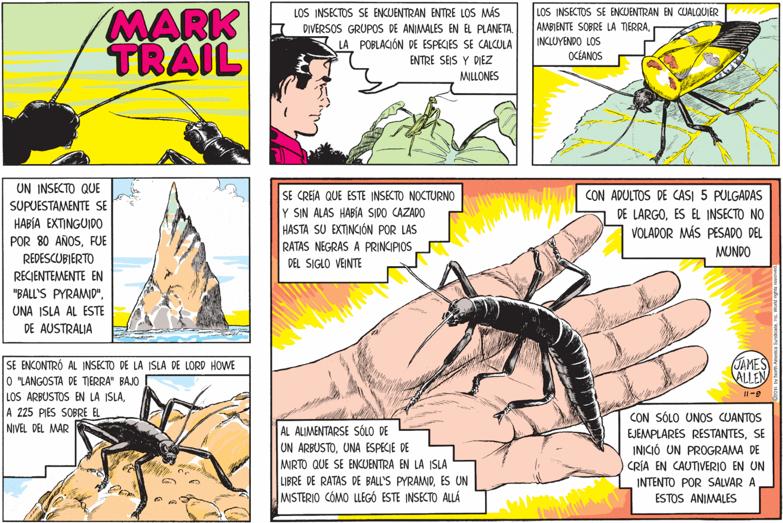 Arthropod OCR: MARK TRAIL LOS INSECTOS SE ENCUENTRAN ENTRE LOS MÁS LOS INSECTOS SE ENCUENTRAN AMBIENTE SOBRE LA TIERRACUALQUIER DIVERSOS GRUPOS DE ANIMALES EN EL PLANETA. LA POBLACIÓN DE ESPECIES SE CALCULA INCLUYENDO LOS OCÉANOS ENTRE SEIS Y DIEZ MILLONES UN INSECTO QUE SE CREIA QUE ESTE INSECTO NOCTURNO Y SIN ALAS HABÍA SIDO CAZADO HASTA SU EXTINCIÓN POR LAS RATAS NEGRAS A PRINCIPIOS DEL SIGLO VEINTE CON ADULTOS DE CASI 5 PULGADAS DE LARGOES EL INSECTO NO VOLADOR MÁS PESADO DEL SUPUESTAMENTE SE HABÍA EXTINGUIDO POR 80 AÑOSFUE REDESCUBIERTO MUNDO RECJENTEMENTE EN "BALL'S PYRAMID"UNA ISLA AL ESTE DE AUSTRALIA JAMES ALLEN SE ENCONTRÓ AL INSECTO DE LA ISLA DE LORD HOWE 0 "LANGOSTA DE TIERRA" BAJO LOS ARBUSTOS EN LA ISLAA 225 PIES SOBRE EL NIVEL DEL MAR CON SÓLO UNOS CUANTOS AL ALIMENTARSE SÓLO DE UN ARBUSTOUNA ESPECIE DE MIRTO QUE SE ENCUENTRA EN LA ISLA EJEMPLARES RESTANTESSE INICIÓ UN PROGRAMA DE OCRÍA EN CAUTIVERIO EN UN LIBRE DE RATAS DE BALL'S PYRAMIDES UN MISTERIO CÓMO LLEGÓ ESTE INSECTO ALLÁ INTENTO POR SALVAR A ESTOS ANIMALES MARK TRAIL LOS INSECTOS SE ENCUENTRAN ENTRE LOS MÁS LOS INSECTOS SE ENCUENTRAN AMBIENTE SOBRE LA TIERRACUALQUIER DIVERSOS GRUPOS DE ANIMALES EN EL PLANETA. LA POBLACIÓN DE ESPECIES SE CALCULA INCLUYENDO LOS OCÉANOS ENTRE SEIS Y DIEZ MILLONES UN INSECTO QUE SE CREIA QUE ESTE INSECTO NOCTURNO Y SIN ALAS HABÍA SIDO CAZADO HASTA SU EXTINCIÓN POR LAS RATAS NEGRAS A PRINCIPIOS DEL SIGLO VEINTE CON ADULTOS DE CASI 5 PULGADAS DE LARGOES EL INSECTO NO VOLADOR MÁS PESADO DEL SUPUESTAMENTE SE HABÍA EXTINGUIDO POR 80 AÑOSFUE REDESCUBIERTO MUNDO RECJENTEMENTE EN "BALL'S PYRAMID"UNA ISLA AL ESTE DE AUSTRALIA JAMES ALLEN SE ENCONTRÓ AL INSECTO DE LA ISLA DE LORD HOWE 0 "LANGOSTA DE TIERRA" BAJO LOS ARBUSTOS EN LA ISLAA 225 PIES SOBRE EL NIVEL DEL MAR CON SÓLO UNOS CUANTOS AL ALIMENTARSE SÓLO DE UN ARBUSTOUNA ESPECIE DE MIRTO QUE SE ENCUENTRA EN LA ISLA EJEMPLARES RESTANTESSE INICIÓ UN PROGRAMA DE OCRÍA EN CAUTIVERIO EN UN LIBRE DE RATAS DE BALL'S PYRAMIDES UN MISTERIO CÓMO LLEGÓ ESTE INSECTO ALLÁ INTENTO POR SALVAR A ESTOS ANIMALES