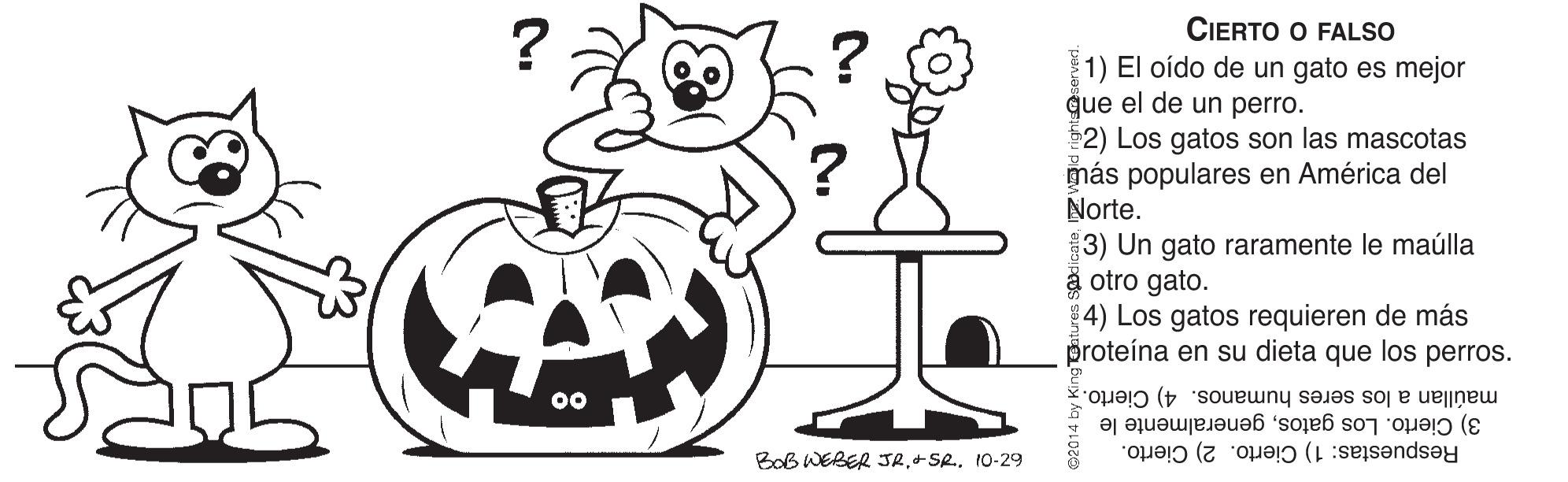 Rectangle OCR: ÇIERTO O FALSO ? 1) El oído de un gato es mejor que el de un perro. $2) Los gatos son las mascotas más populares en América del Norte. 3) Un gato raramente le maúlla a otro gato. 4) Los gatos requieren de más proteína en su dieta que los perros. 00 maúllan a los seres humanos. 4) Cierto. 3) Cierto. Los gatosgeneralmente le Respuestas: 1) Cierto. 2) Cierto. Bob WEBER JR+ SR. 10-29 ÇIERTO O FALSO ? 1) El oído de un gato es mejor que el de un perro. $2) Los gatos son las mascotas más populares en América del Norte. 3) Un gato raramente le maúlla a otro gato. 4) Los gatos requieren de más proteína en su dieta que los perros. 00 maúllan a los seres humanos. 4) Cierto. 3) Cierto. Los gatosgeneralmente le Respuestas: 1) Cierto. 2) Cierto. Bob WEBER JR+ SR. 10-29