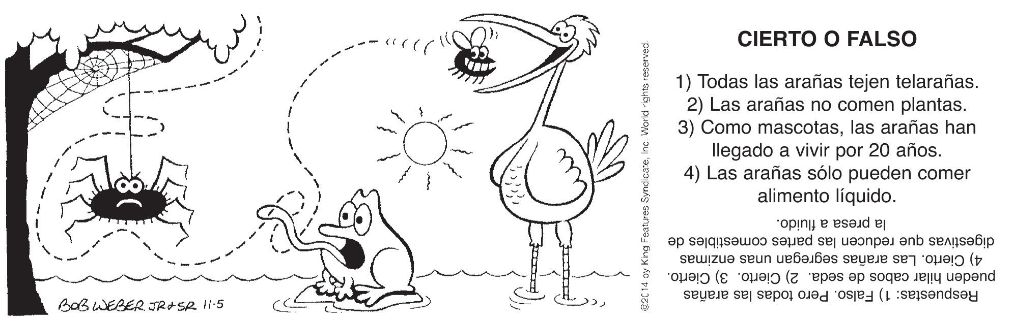Gesture OCR: CIERTO O FALSO 1) Todas las arañas tejen telarañas. 2) Las arañas no comen plantas. 3) Como mascotaslas arañas han llegado a vivir por 20 años. 4) Las arañas sólo pueden comer alimento líquido. la presa a fluido. digestivas que reducen las partes comestibles de pueden hilar cabos de seda. 2) Cierto. 3) Cierto. 4) Cierto. Las arañas segregan unas enzimas BaB WEBER TRASR 11-5 Respuestas: 1) Falso. Pero todas las arañas @2C 14 ay KingI CIERTO O FALSO 1) Todas las arañas tejen telarañas. 2) Las arañas no comen plantas. 3) Como mascotaslas arañas han llegado a vivir por 20 años. 4) Las arañas sólo pueden comer alimento líquido. la presa a fluido. digestivas que reducen las partes comestibles de pueden hilar cabos de seda. 2) Cierto. 3) Cierto. 4) Cierto. Las arañas segregan unas enzimas BaB WEBER TRASR 11-5 Respuestas: 1) Falso. Pero todas las arañas @2C 14 ay KingI