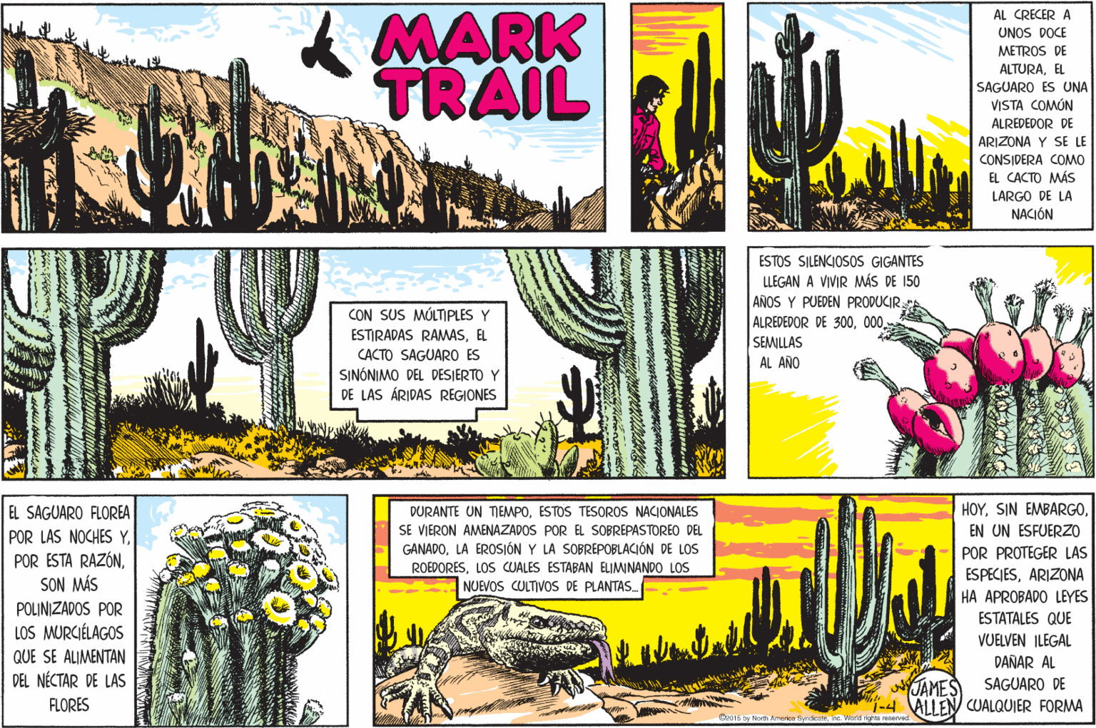 Slope OCR: k MARK TRAIL AL CRECER A UNOS DOCE METROS DE ALTURAEL SAGUARO ES UNA VISTA COMÚN ALREDEDOR DE ARIZONA Y SE LE CONSIDERA COMO EL CACTO MÁS LARGO DE LA NACIÓN ESTOS SILENCIOS0S GIGANTES LLEGAN A VIVIR MWÁS DE 150 AÑOS Y PUEDEN PRODUCIR ALREDEDOR DE 300000. SEMILLAS AL AÑO CON SUS MÓLTIPLES Y ESTIRADAS RAMASEL CACTO SAGUARO ES SINÓNIMO DEL DESJERTO DE LAS ÁRIDAS REGIONES HOYEN UN ESFUERZO EL SAGUARO FLOREA DURANTE UN TIEMPOESTOS TESOROS NACIONALES SE VIERON AMENAZADOS POR EL SOBREPASTOREO DEL GANADOLA EROSIÓN Y LA SOBREPOBLACIÓN DE LOs POR LAS NOCHES YSON MÁS POR PROTEGER LAS ROEDORESLOS CUALES ESTABAN ELIMINANDO LOS ESPECIESARIZONA NUEVOS CULTIVOS DE PLANTAS. HA APROBADO LEYES POLINIZADOS POR ESTATALES QUE LOS MURCIÉLAGOS VUELVEN ILEGAL QUE SE ALIMENTAN DEL NÉCTAR DE LAS DAÑAR AL NJAMES SAGUARO DE FLORES -4 ALLEN CUALQUIER FORMA k MARK TRAIL AL CRECER A UNOS DOCE METROS DE ALTURAEL SAGUARO ES UNA VISTA COMÚN ALREDEDOR DE ARIZONA Y SE LE CONSIDERA COMO EL CACTO MÁS LARGO DE LA NACIÓN ESTOS SILENCIOS0S GIGANTES LLEGAN A VIVIR MWÁS DE 150 AÑOS Y PUEDEN PRODUCIR ALREDEDOR DE 300000. SEMILLAS AL AÑO CON SUS MÓLTIPLES Y ESTIRADAS RAMASEL CACTO SAGUARO ES SINÓNIMO DEL DESJERTO DE LAS ÁRIDAS REGIONES HOYSIN EMBARGOEN UN ESFUERZO EL SAGUARO FLOREA DURANTE UN TIEMPOESTOS TESOROS NACIONALES SE VIERON AMENAZADOS POR EL SOBREPASTOREO DEL GANADOLA EROSIÓN Y LA SOBREPOBLACIÓN DE LOs POR LAS NOCHES YPOR ESTA RAZÓNSON MÁS POR PROTEGER LAS ROEDORESLOS CUALES ESTABAN ELIMINANDO LOS ESPECIESARIZONA NUEVOS CULTIVOS DE PLANTAS. HA APROBADO LEYES POLINIZADOS POR ESTATALES QUE LOS MURCIÉLAGOS VUELVEN ILEGAL QUE SE ALIMENTAN DEL NÉCTAR DE LAS DAÑAR AL NJAMES SAGUARO DE FLORES -4 ALLEN CUALQUIER FORMA