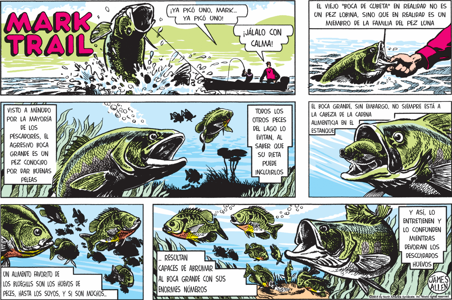Publication OCR: EL VIEJO "BOCA DE CUBETA" EN REALIDAD NO ES ¡YA PICÓ UNOMARK.. YA PICÓ UNO! MARK TRAIL UN PEZ LOBINASINO QUE EN REALIDAD ES UN MIEMBRO DE LA FAMILIA DEL PEZ LUNA JÁLALO CON CALMA! EL BOCA GRANDENO SIEMPRE ESTÁ A VISTO A MENUDO TODOS LOS LA CABEZA DE LA CADENA POR LA MAYORÍA DE LOS PESCADORESEL AGRESIVO BOCA OTROS PECES ALIMENTICIA EN EL ESTANQUET DEL LAGO LO EVITANAL SABER QUE GRANDE ES UN PEZ CONOCIDO SU DIETA PUEDE POR DAR BUENAS INCLUIRLOS PELEAS Y ASÍLO ENTRETIENEN Y LO CONFUNDEN MJENTRAS DEVORAN LOS DESCUIDADOS RESULTAN CAPACES DE ABRUMAR AL BOCA GRANDE CON SUS ENORMES NÓMEROS HUEVOS UN ALIMENTO FAVORITO DE LOS BLUEGILLS SON LOS HUEVOS DE PECESY SI SON MUCHOS. JAMES ALLEN yNorh Aha Sydicate dont reserved EL VIEJO "BOCA DE CUBETA" EN REALIDAD NO ES ¡YA PICÓ UNOMARK.. YA PICÓ UNO! MARK TRAIL UN PEZ LOBINASINO QUE EN REALIDAD ES UN MIEMBRO DE LA FAMILIA DEL PEZ LUNA JÁLALO CON CALMA! EL BOCA GRANDESIN EMBARGONO SIEMPRE ESTÁ A VISTO A MENUDO TODOS LOS LA CABEZA DE LA CADENA POR LA MAYORÍA DE LOS PESCADORESEL AGRESIVO BOCA OTROS PECES ALIMENTICIA EN EL ESTANQUET DEL LAGO LO EVITANAL SABER QUE GRANDE ES UN PEZ CONOCIDO SU DIETA PUEDE POR DAR BUENAS INCLUIRLOS PELEAS Y ASÍLO ENTRETIENEN Y LO CONFUNDEN MJENTRAS DEVORAN LOS DESCUIDADOS RESULTAN CAPACES DE ABRUMAR AL BOCA GRANDE CON SUS ENORMES NÓMEROS HUEVOS UN ALIMENTO FAVORITO DE LOS BLUEGILLS SON LOS HUEVOS DE PECESHASTA LOS SUYOSY SI SON MUCHOS. JAMES ALLEN yNorh Aha Sydicate dont reserved