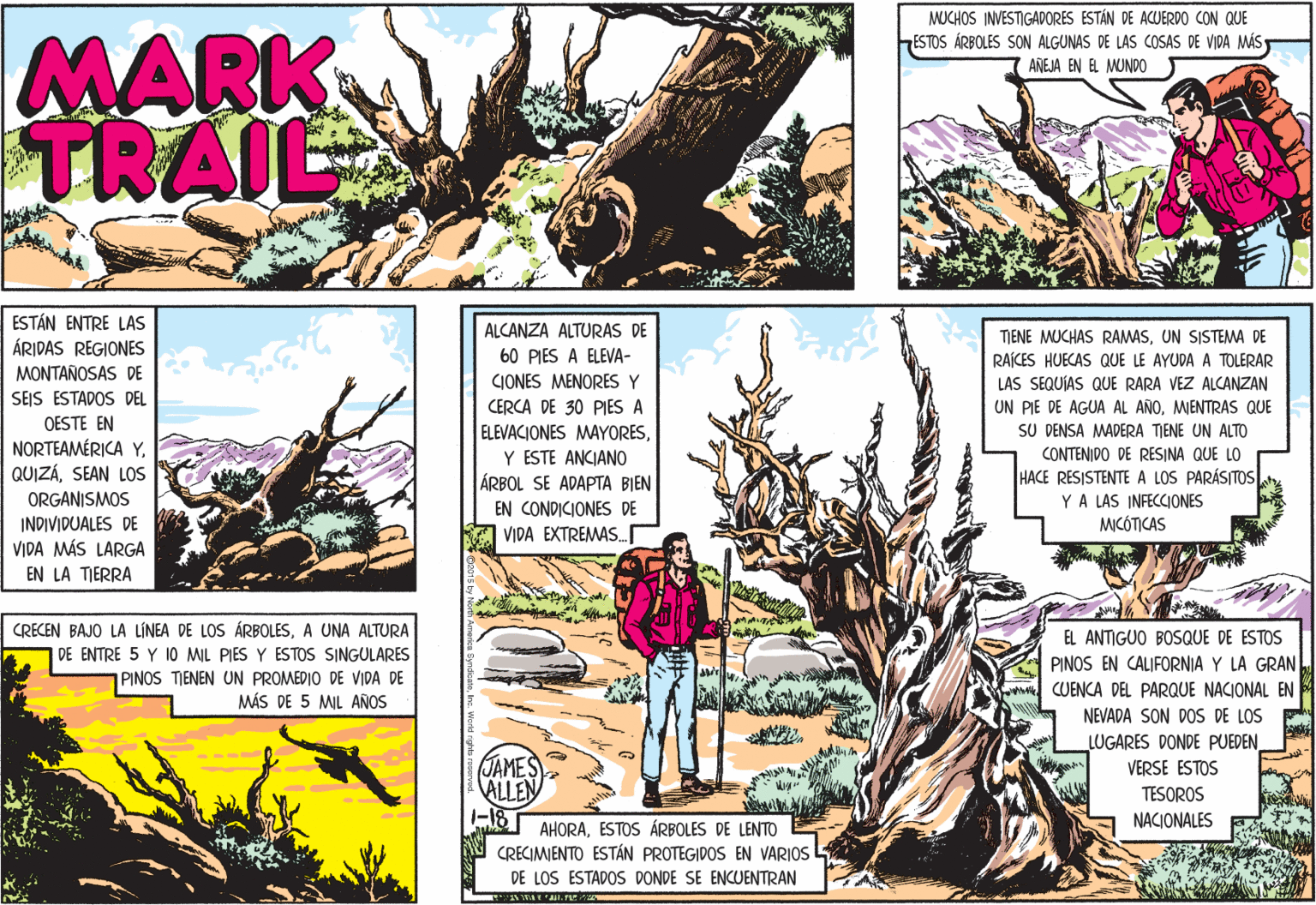 Comic book OCR: MUCHOS INVESTIGADORES ESTÁN DE ACUERDO CON QUE MARK TRAIL 7ESTOS ÁRBOLES SON ALGUNAS DE LAS COSAS DE VIDA MÁS ANEJA EN E MUNDO ESTÁN ENTRE LAS ÁRIDAS REGIONES ALCANZA ALTURAS DE TIENE MUCHAS RAMASUN SISTEMA DE 60 PIES A ELEVA- RAÍCES HUECAS QUE LE AYUDA A TOLERAR LAS SEQUÍAS QUE RARA VEZ ALCANZAN UN PIE DE AGUA AL AÑOMENTRAS QUE SU DENSA MADERA TIENE UN ALTO CONTENIDO DE RESINA QUE LO HACE RESISTENTE A LOS PARÁSITOS MONTAÑOSAS DE CIONES MENORES Y SEIS ESTADOS DEL OESTE EN NORTEAMÉRICA YSEAN LOS CERCA DE 30 PIES A ELEVACIONES MAYORESY ESTE ANCIANO ÁRBOL SE ADAPTA BIEN ORGANISMOS INDIVIDUALES DE VIDA MÁS LARGA EN LA TIERRA EN CONDICIONES DE YA LAS INFECCIONES MCÓTICAS VIDA EXTREMAS. CRECEN BAJO LA LÍNEA DE LOS ÁRBOLESA UNA ALTURA | DE ENTRE 5 Y 10 MIL PIES Y ESTOS SINGULARES PINOS TIENEN UN PROMEDIO DE VIDA DE MÁS DE 5 ML AÑOS EL ANTIGUO BOSQUE DE ESTOS PINOS EN CALIFORNIA Y LA GRAN CUENCA DEL PARQUE NACIONAL EN NEVADA SON DOS DE LOS LUGARES DONDE PUEDEN (JAMES ALLEN -18 VERSE ESTOS TESOROS NACIONALES AHORAESTOS ÁRBOLES DE LENTO CRECIMIENTO ESTÁN PROTEGIDOS EN VARIOS DE LOS ESTADOS DONDE SE ENCUENTRAN MUCHOS INVESTIGADORES ESTÁN DE ACUERDO CON QUE MARK TRAIL 7ESTOS ÁRBOLES SON ALGUNAS DE LAS COSAS DE VIDA MÁS ANEJA EN E MUNDO ESTÁN ENTRE LAS ÁRIDAS REGIONES ALCANZA ALTURAS DE TIENE MUCHAS RAMASUN SISTEMA DE 60 PIES A ELEVA- RAÍCES HUECAS QUE LE AYUDA A TOLERAR LAS SEQUÍAS QUE RARA VEZ ALCANZAN UN PIE DE AGUA AL AÑOMENTRAS QUE SU DENSA MADERA TIENE UN ALTO CONTENIDO DE RESINA QUE LO HACE RESISTENTE A LOS PARÁSITOS MONTAÑOSAS DE CIONES MENORES Y SEIS ESTADOS DEL OESTE EN NORTEAMÉRICA YSEAN LOS CERCA DE 30 PIES A ELEVACIONES MAYORESY ESTE ANCIANO ÁRBOL SE ADAPTA BIEN ORGANISMOS INDIVIDUALES DE VIDA MÁS LARGA EN LA TIERRA EN CONDICIONES DE YA LAS INFECCIONES MCÓTICAS VIDA EXTREMAS. CRECEN BAJO LA LÍNEA DE LOS ÁRBOLESA UNA ALTURA | DE ENTRE 5 Y 10 MIL PIES Y ESTOS SINGULARES PINOS TIENEN UN PROMEDIO DE VIDA DE MÁS DE 5 ML AÑOS EL ANTIGUO BOSQUE DE ESTOS PINOS EN CALIFORNIA Y LA GRAN CUENCA DEL PARQUE NACIONAL EN NEVADA SON DOS DE LOS LUGARES DONDE PUEDEN (JAMES ALLEN -18 VERSE ESTOS TESOROS NACIONALES AHORAESTOS ÁRBOLES DE LENTO CRECIMIENTO ESTÁN PROTEGIDOS EN VARIOS DE LOS ESTADOS DONDE SE ENCUENTRAN