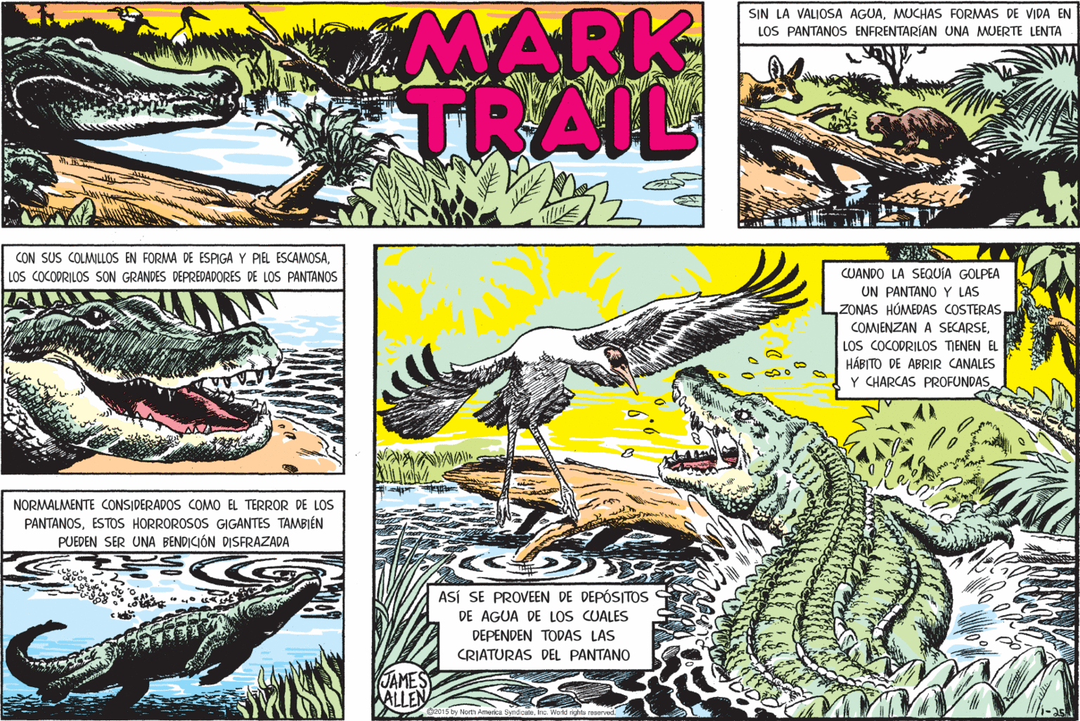 Adaptation OCR: MARK TRAIL SIN LA VALIOSA AGUAMUCHAS FORMAS DE VIDA EN LOS PANTANOS ENFRENTARÍAN UNA MUERTE LENTA CON SUS COLMILLOS EN FORMA DE ESPIGA Y PIEL ESCAMOSALOS COCODRILOS SON GRANDES DEPREDADORES DE LOS PANTANOS CUANDO LA SEQUÍA GOLPEA UN PANTANO Y LAS ZONAS HÚMEDAS COSTERAS COMIENZAN A SECARSELOS COCODRILOS TIENEN EL HÁBITO DE ABRIR CANALES Y CHARCAS PROFUNDAS NORMALMENTE CONSIDERADOS COMO EL TERROR DE LOS PANTANOSESTOS HORROROSOS GIGANTES TAMBIÉN PUEDEN SER UNA BENDICIÓN DISFRAZADA ASÍ SE PROVEEN DE DEPÓSITOS DE AGUA DE LOS CUALES DEPENDEN TODAS LAS CRIATURAS DEL PANTANO JAMES ALLEN 1s by North Americe Bendicale. Ire. Wold rhta rer MARK TRAIL SIN LA VALIOSA AGUAMUCHAS FORMAS DE VIDA EN LOS PANTANOS ENFRENTARÍAN UNA MUERTE LENTA CON SUS COLMILLOS EN FORMA DE ESPIGA Y PIEL ESCAMOSALOS COCODRILOS SON GRANDES DEPREDADORES DE LOS PANTANOS CUANDO LA SEQUÍA GOLPEA UN PANTANO Y LAS ZONAS HÚMEDAS COSTERAS COMIENZAN A SECARSELOS COCODRILOS TIENEN EL HÁBITO DE ABRIR CANALES Y CHARCAS PROFUNDAS NORMALMENTE CONSIDERADOS COMO EL TERROR DE LOS PANTANOSESTOS HORROROSOS GIGANTES TAMBIÉN PUEDEN SER UNA BENDICIÓN DISFRAZADA ASÍ SE PROVEEN DE DEPÓSITOS DE AGUA DE LOS CUALES DEPENDEN TODAS LAS CRIATURAS DEL PANTANO JAMES ALLEN 1s by North Americe Bendicale. Ire. Wold rhta rer