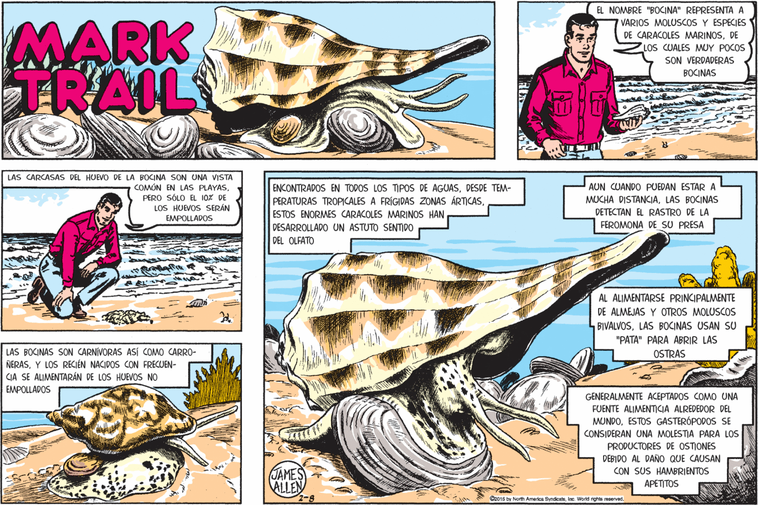 Font OCR: EL NOMBRE "BOCINA" REPRESENTA A MARK TRAIL VARIOS MOLUSCOS Y ESPECIES DE CARACOLES MARINOSDE LOS CUALES MUY POCOS SON VERDADERAS BOCINAS LAS CARCASAS DEL HUEVO DE LA BOCINA SON UNA VISTA COMÓN EN LAS PLAYASPERO SÓLO EL 10Z DE LOS HUEVOS SERÁN ENCONTRADOS EN TODOS LOS TIPOS DE AGUASDESDE TEM- PERATURAS TROPICALES A FRÍGIDAS ZONAS ÁRTICASESTOS ENORMES CARACOLES MARINOS HAN DESARROLLADO UN ASTUTO SENTIDO DEL OLFATO AUN CUANDO PUEDAN ESTARA MUCHA DISTANCIALAS BOCINAS DETECTAN EL RASTRO DE LA EMPOLLADOS FEROMONA DE SU PRESA AL ALIMENTARSE PRINCIPALMENTE DE ALMEJAS Y OTROS MOLUSCOS BIVALVOSLAS BOCINAS USAN SU "PATA" PARA ABRIR LAS LAS BOCINAS SON CARNÍVORAS ASÍ COMO CARRO- NERASCIA SE ALIMENTARÁN DE LOS HUEVOS NO EMPOLLADOS OSTRAS LOS RECIÉN NACIDOS CON FRECUEN- GENERALMENTE ACEPTADOS COMO UNA FUENTE ALIMENTCIA ALREDEDOR DEL MUNDOESTOS GASTERÓPODOS SE CONSIDERAN UNA MOLESTIA PARA LOS PRODUCTORES DE OSTIONES DEBIDO AL DANO QUE CAUSAN CON SUS HAMBRIENTOS JAMES ALLEN APETITOS O2018 by Noh America tyndicaleInc. World rghts reeervad. EL NOMBRE "BOCINA" REPRESENTA A MARK TRAIL VARIOS MOLUSCOS Y ESPECIES DE CARACOLES MARINOSDE LOS CUALES MUY POCOS SON VERDADERAS BOCINAS LAS CARCASAS DEL HUEVO DE LA BOCINA SON UNA VISTA COMÓN EN LAS PLAYASPERO SÓLO EL 10Z DE LOS HUEVOS SERÁN ENCONTRADOS EN TODOS LOS TIPOS DE AGUASDESDE TEM- PERATURAS TROPICALES A FRÍGIDAS ZONAS ÁRTICASESTOS ENORMES CARACOLES MARINOS HAN DESARROLLADO UN ASTUTO SENTIDO DEL OLFATO AUN CUANDO PUEDAN ESTARA MUCHA DISTANCIALAS BOCINAS DETECTAN EL RASTRO DE LA EMPOLLADOS FEROMONA DE SU PRESA AL ALIMENTARSE PRINCIPALMENTE DE ALMEJAS Y OTROS MOLUSCOS BIVALVOSLAS BOCINAS USAN SU "PATA" PARA ABRIR LAS LAS BOCINAS SON CARNÍVORAS ASÍ COMO CARRO- NERASCIA SE ALIMENTARÁN DE LOS HUEVOS NO EMPOLLADOS OSTRAS LOS RECIÉN NACIDOS CON FRECUEN- GENERALMENTE ACEPTADOS COMO UNA FUENTE ALIMENTCIA ALREDEDOR DEL MUNDOESTOS GASTERÓPODOS SE CONSIDERAN UNA MOLESTIA PARA LOS PRODUCTORES DE OSTIONES DEBIDO AL DANO QUE CAUSAN CON SUS HAMBRIENTOS JAMES ALLEN APETITOS O2018 by Noh America tyndicaleInc. World rghts reeervad.