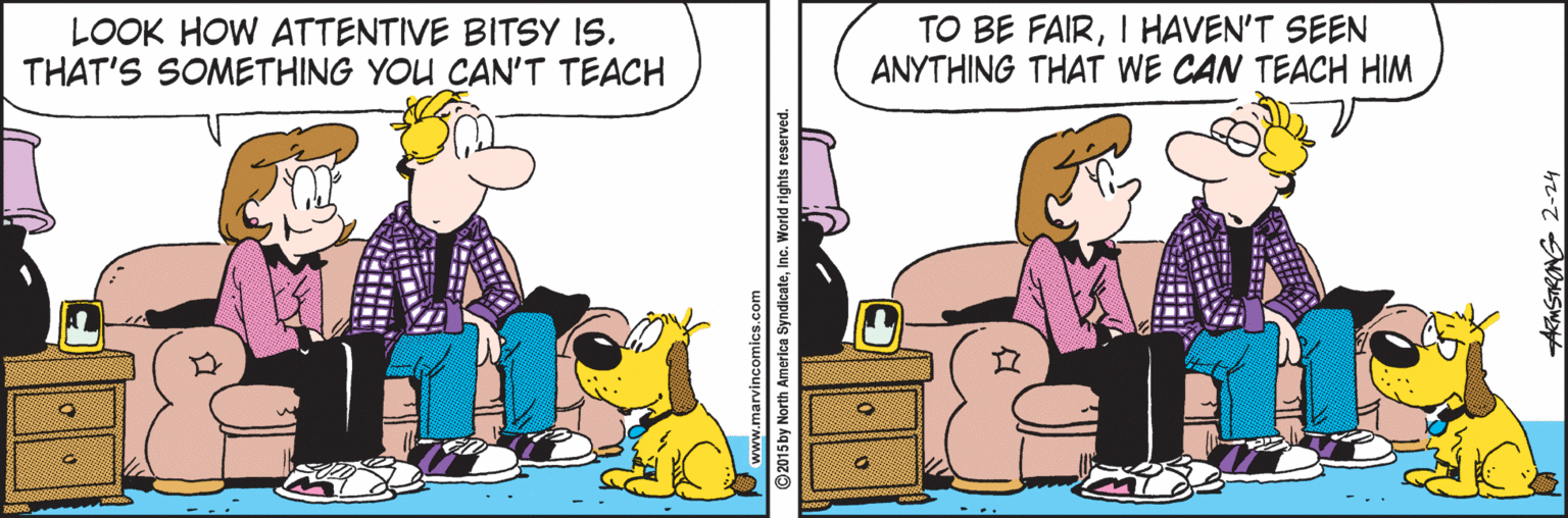 Conversation OCR: LOOK HOW ATTENTIVE BITSY IS. THAT'S SOMETHING YOU CAN'T TEACH TO BE FAIRI HAVEN'T SEEN ANYTHING THAT WE CAN TEACH HIM ? .marvincomics.com ©2015 by North America SyndicateInc. World rights reserved. AMSTRONG 2-24 LOOK HOW ATTENTIVE BITSY IS. THAT'S SOMETHING YOU CAN'T TEACH TO BE FAIRI HAVEN'T SEEN ANYTHING THAT WE CAN TEACH HIM ? .marvincomics.com ©2015 by North America SyndicateInc. World rights reserved. AMSTRONG 2-24