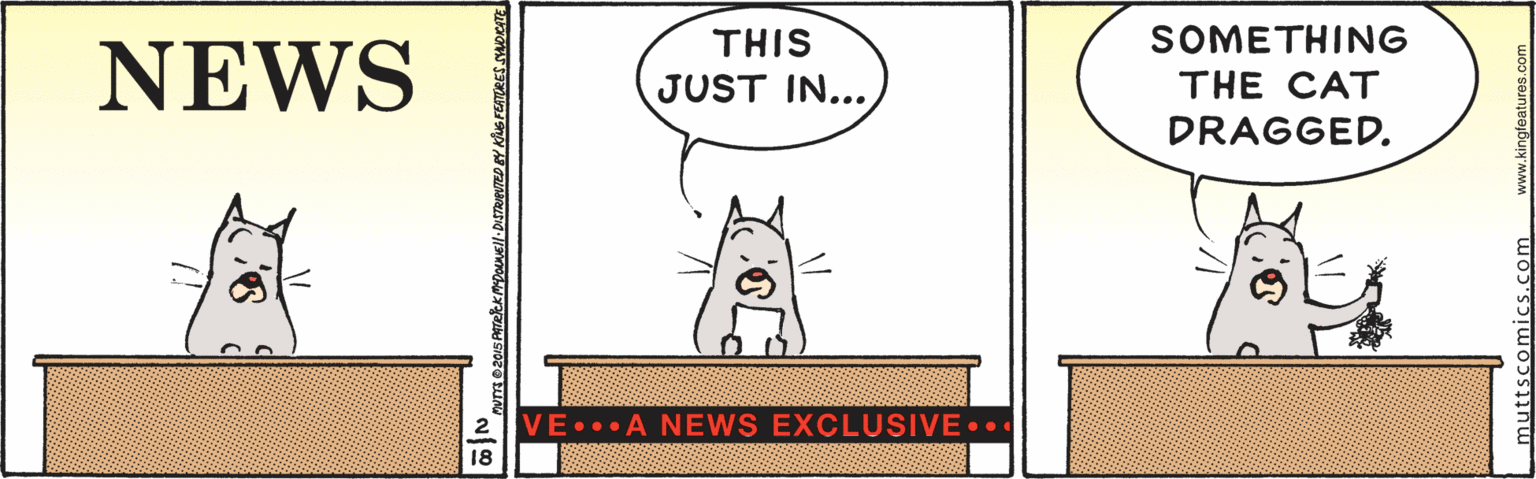 Design OCR: THIS SOMETHING NEWS JUST IN... THE CAT DRAGGED. VE A NEWS EXCLUSIVE... muttsc THIS SOMETHING NEWS JUST IN... THE CAT DRAGGED. VE A NEWS EXCLUSIVE... muttsc