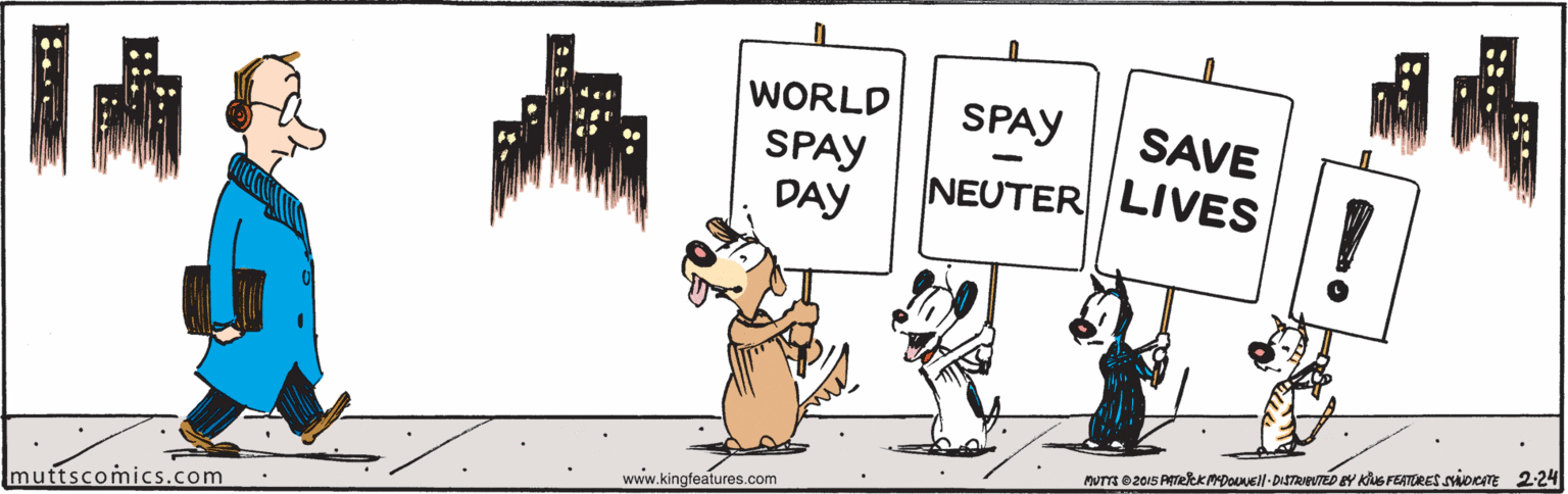 Illustration OCR: WORLD SPAY SAVE SPAY DAY NEUTER LIVES PUTT 020IS RATeeKMDOUVEll- DISTRIEVTEDY KiNG FEATURES SoemE 224 www.kingfeatures.com muttscomics.com WORLD SPAY SAVE SPAY DAY NEUTER LIVES PUTT 020IS RATeeKMDOUVEll- DISTRIEVTEDY KiNG FEATURES SoemE 224 www.kingfeatures.com muttscomics.com