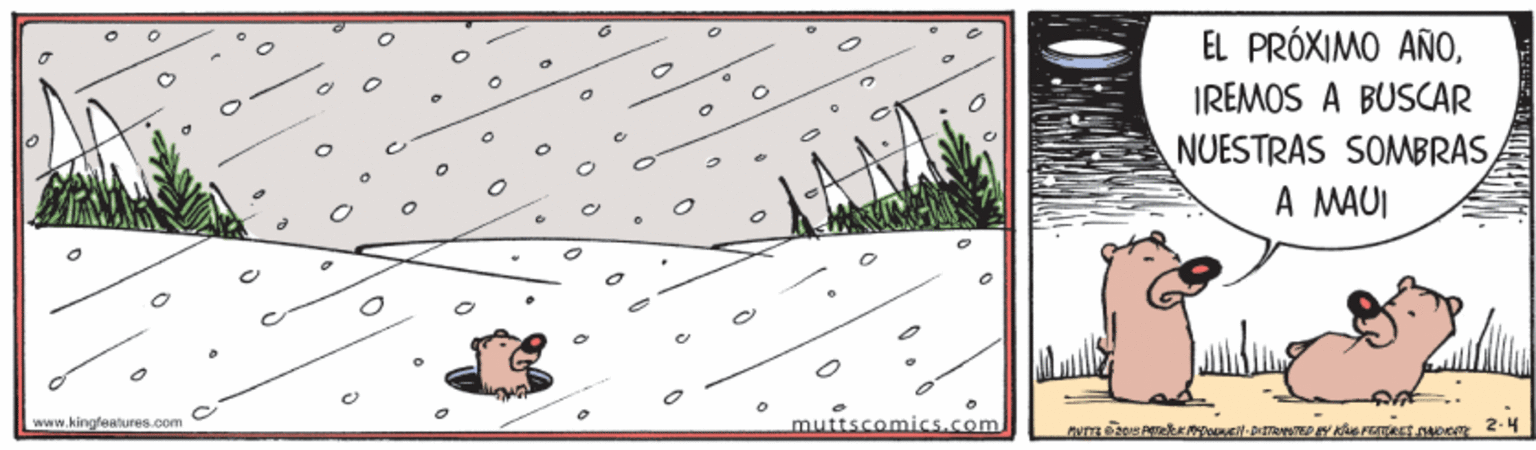 Art OCR: EL PRÓXIMO AÑOIREMOS A BUSCAR NUESTRAS SOMBRASA MAUI www.kingfeatures.com muttscomics.com EL PRÓXIMO AÑOIREMOS A BUSCAR NUESTRAS SOMBRASA MAUI www.kingfeatures.com muttscomics.com
