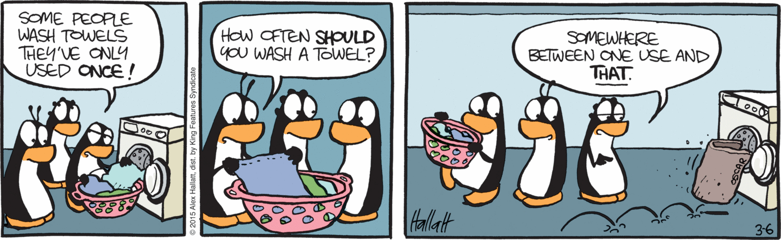 Drawing OCR: SOME PEOPE WASH TOWELS THEY'VE ONL4 USED ONCE ! HOw OFTEN SHOULD you WASH A TOWEL? SOMEWHERE BETWEEN ONE USE AND THAT. Hallatt 3-6 SOME PEOPE WASH TOWELS THEY'VE ONL4 USED ONCE ! HOw OFTEN SHOULD you WASH A TOWEL? SOMEWHERE BETWEEN ONE USE AND THAT. Hallatt 3-6