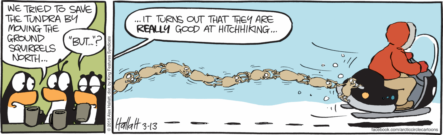 Handwriting OCR: WE TRIED TO SAVE THE TUNDRA BY MOVING THE GROUND SQUIRRELS NORTH. .IT TURNS OUT THAT THEY ARE REALLY GOOD AT HITCHHIKING... ("BUT.? Hallatt 3-13 facebook.com/arcticcirclecartoons WE TRIED TO SAVE THE TUNDRA BY MOVING THE GROUND SQUIRRELS NORTH. .IT TURNS OUT THAT THEY ARE REALLY GOOD AT HITCHHIKING... ("BUT.? Hallatt 3-13 facebook.com/arcticcirclecartoons