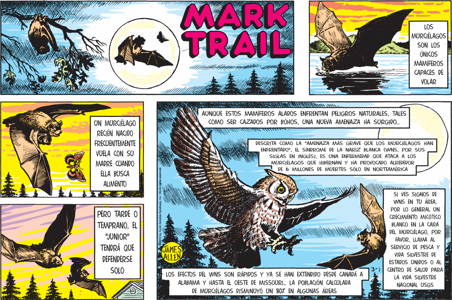 Fiction OCR: MARK TRAIL LOS MURCIÉLAGOS SON LOS ÚNICOS MAMÍFEROS CAPACES DE VOLAR AUNQUE ESTOS MAMIFEROS ALADOS ENFRENTAN PELIGROS NATURALESTALES COMO SER CAZADOS POR BÚHOSUNA NUEVA AMENAZA HA SURGIDO. UN MURCIÉLAGO RECIÉN NACIDO ? ?? FRECUENTEMENTE VUELA CON SU MADRE CUANDO DESCRITA COMMO LA "AMENAZA MÁS GRAVE QUE LOS MURCIÉLAGOS HAN ENFRENTADO"POR SUS SIGLAS EN INGLÉS)ES UNA ENFERMEDAD QUE ATACA A LOS MURCIÉLAGOS QUE HIBERNAN Y HA PROVOCADO ALREDEDOR DE 6 MILLONES DE MUERTES SÓLO EN NORTEAMÉRICA ELLA BUSCA ALIMENTO SI VES SIGNOS DE WNS EN TU ÁREAPOR LO GENERAL UN PERO TARDE O TEMPRANOEL CRECIMIENTO MWICÓTICO BLANCO EN LA CARA DEL MURCIÉLAGOPOR "JUNIOR" FAVORLLAMA AL TENDRÁ QUE JAMES ALLEN SERVICIO DE PESCA Y VIDA SILVESTRE DE ESTADOS UNIDOS O AL DEFENDERSE SOLO CENTRO DE SALUD PARA LOS EFECTOS DEL WNS SON RÁPIDOS Y YA SE HAN EXTENDIDO DESDE CANADÁ A ALABAMA Y HASTA EL OESTE DE MISSOURI. LA POBLACIÓN CALCULADA DE MURCIÉLAGOS DISMINUYÓ UN 80Z EN ALGUNAS ÁREAS . .A T LA VIDA SILVESTRE NACIONAL USGS MARK TRAIL LOS MURCIÉLAGOS SON LOS ÚNICOS MAMÍFEROS CAPACES DE VOLAR AUNQUE ESTOS MAMIFEROS ALADOS ENFRENTAN PELIGROS NATURALESTALES COMO SER CAZADOS POR BÚHOSUNA NUEVA AMENAZA HA SURGIDO. UN MURCIÉLAGO RECIÉN NACIDO ? ?? FRECUENTEMENTE VUELA CON SU MADRE CUANDO DESCRITA COMMO LA "AMENAZA MÁS GRAVE QUE LOS MURCIÉLAGOS HAN ENFRENTADO"EL SÍNDROME DE LA NARIZ BLANCA (WNSPOR SUS SIGLAS EN INGLÉS)ES UNA ENFERMEDAD QUE ATACA A LOS MURCIÉLAGOS QUE HIBERNAN Y HA PROVOCADO ALREDEDOR DE 6 MILLONES DE MUERTES SÓLO EN NORTEAMÉRICA ELLA BUSCA ALIMENTO SI VES SIGNOS DE WNS EN TU ÁREAPOR LO GENERAL UN PERO TARDE O TEMPRANOEL CRECIMIENTO MWICÓTICO BLANCO EN LA CARA DEL MURCIÉLAGOPOR "JUNIOR" FAVORLLAMA AL TENDRÁ QUE JAMES ALLEN SERVICIO DE PESCA Y VIDA SILVESTRE DE ESTADOS UNIDOS O AL DEFENDERSE SOLO CENTRO DE SALUD PARA LOS EFECTOS DEL WNS SON RÁPIDOS Y YA SE HAN EXTENDIDO DESDE CANADÁ A ALABAMA Y HASTA EL OESTE DE MISSOURI. LA POBLACIÓN CALCULADA DE MURCIÉLAGOS DISMINUYÓ UN 80Z EN ALGUNAS ÁREAS . .A T LA VIDA SILVESTRE NACIONAL USGS