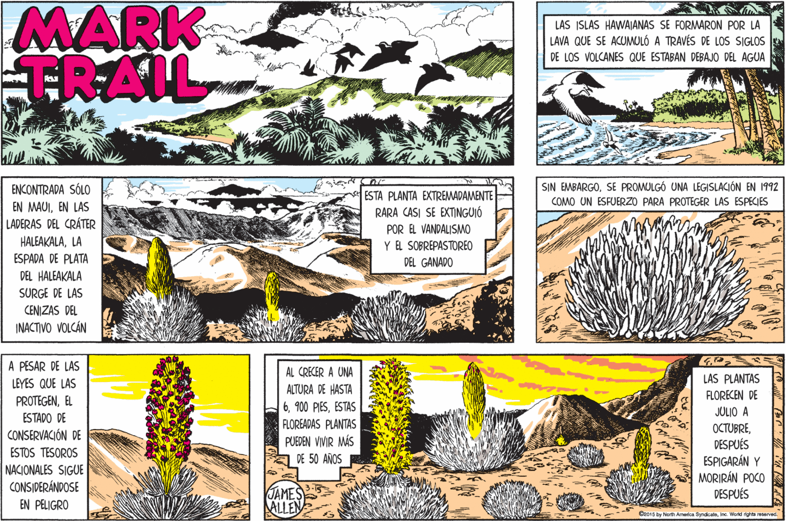 Adaptation OCR: MARK TRAIL LAS ISLAS HAWAIANAS SE FORMARON POR LA LAVA QUE SE ACUMULÓ A TRAVÉS DE LOS SIGLOS DE LOS VOLCANES QUE ESTABAN DEBAJO DEL AGUA SIN EMBARGOSE PROMULGÓ UNA LEGISLACIÓN EN 1992 COMO UN ESFUERZO PARA PROTEGER LAS ESPECIES ENCONTRADA SÓLO ESTA PLANTA EXTREMADAMENTE RARA CASI SE EXTINGUIÓ POR EL VANDALISMO YL SOBREPASTOREO EN MAUIEN LAS LADERAS DEL CRÁTER HALEAKALALA ESPADA DE PLATA DEL HALEAKALA DEL GANADO SURGE DE LAS CENIZAS DEL INACTIVO VOLCÁN A PESAR DE LAS AL CRECER A UNA LEYES QUE LAS LAS PLANTAS ALTURA DE HASTA 6ESTAS FLORECEN DE PROTEGENEL JULIO A ESTADO DE CONSERVACIÓN DE ESTOS TESOROS NACIONALES SIGUE CONSIDERÁNDOSE EN PELIGRO FLOREADAS PLANTAS PUEDEN VIVIR MÁS a DE 50 AÑOS OCTUBREDESPUÉS ESPIGARÁN Y MORIRÁN POCO DESPUÉS JAMES ALLEN Cao15 by North Amerca Gyndoateinc. Word righta reerved. MARK TRAIL LAS ISLAS HAWAIANAS SE FORMARON POR LA LAVA QUE SE ACUMULÓ A TRAVÉS DE LOS SIGLOS DE LOS VOLCANES QUE ESTABAN DEBAJO DEL AGUA SIN EMBARGOSE PROMULGÓ UNA LEGISLACIÓN EN 1992 COMO UN ESFUERZO PARA PROTEGER LAS ESPECIES ENCONTRADA SÓLO ESTA PLANTA EXTREMADAMENTE RARA CASI SE EXTINGUIÓ POR EL VANDALISMO YL SOBREPASTOREO EN MAUIEN LAS LADERAS DEL CRÁTER HALEAKALALA ESPADA DE PLATA DEL HALEAKALA DEL GANADO SURGE DE LAS CENIZAS DEL INACTIVO VOLCÁN A PESAR DE LAS AL CRECER A UNA LEYES QUE LAS LAS PLANTAS ALTURA DE HASTA 6900 PIESESTAS FLORECEN DE PROTEGENEL JULIO A ESTADO DE CONSERVACIÓN DE ESTOS TESOROS NACIONALES SIGUE CONSIDERÁNDOSE EN PELIGRO FLOREADAS PLANTAS PUEDEN VIVIR MÁS a DE 50 AÑOS OCTUBREDESPUÉS ESPIGARÁN Y MORIRÁN POCO DESPUÉS JAMES ALLEN Cao15 by North Amerca Gyndoateinc. Word righta reerved.