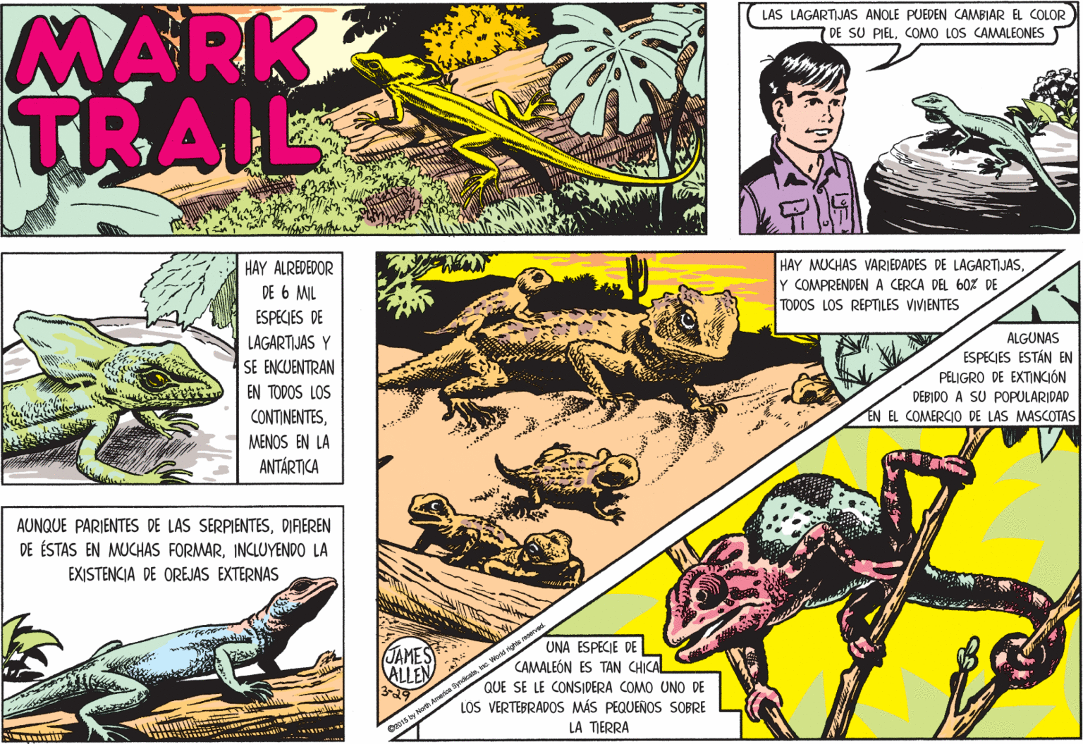 Comics OCR: MARK TRAIL LAS LAGARTIJAS ANOLE PUEDEN CAMBIAR EL COLOR DE SU PIELCOMO LOS CAMALEONES HAY ALREDEDOR DE 6 MIL HAY MUCHAS VARIEDADES DE LAGARTIJASY COMPRENDEN A CERCA DEL 60% DE TODOS LOS REPTILES VIVIENTES ESPECIES DE LAGARTIJAS Y ALGUNAS ESPECIES ESTÁN EN SE ENCUENTRAN PELIGRO DE EXTINCIÓN EN TODOS LOS DEBIDO A SU POPULARIDAD EN EL COMERCIO DE LAS MASCOTAS CONTINENTESMENOS EN LA ANTÁRTICA AUNQUE PARIENTES DE LAS SERPIENTESDIREREN DE ÉSTAS EN MUCHAS FORMARINCLUYENDO LA EXISTENCIA DE OREJAS EXTERNAS JAMES ALLEN 3-29 UNA ESPECIE DE CAMALEÓN ES TAN CHICAL QUE SE LE CONSIDERA COMO UNO DE LOS VERTEBRADOS MÁS PEQUEÑOS SOBRE LA TIERRA a IE Ca0is oy North Ameica yndcdeinc MARK TRAIL LAS LAGARTIJAS ANOLE PUEDEN CAMBIAR EL COLOR DE SU PIELCOMO LOS CAMALEONES HAY ALREDEDOR DE 6 MIL HAY MUCHAS VARIEDADES DE LAGARTIJASY COMPRENDEN A CERCA DEL 60% DE TODOS LOS REPTILES VIVIENTES ESPECIES DE LAGARTIJAS Y ALGUNAS ESPECIES ESTÁN EN SE ENCUENTRAN PELIGRO DE EXTINCIÓN EN TODOS LOS DEBIDO A SU POPULARIDAD EN EL COMERCIO DE LAS MASCOTAS CONTINENTESMENOS EN LA ANTÁRTICA AUNQUE PARIENTES DE LAS SERPIENTESDIREREN DE ÉSTAS EN MUCHAS FORMARINCLUYENDO LA EXISTENCIA DE OREJAS EXTERNAS JAMES ALLEN 3-29 UNA ESPECIE DE CAMALEÓN ES TAN CHICAL QUE SE LE CONSIDERA COMO UNO DE LOS VERTEBRADOS MÁS PEQUEÑOS SOBRE LA TIERRA a IE Ca0is oy North Ameica yndcde