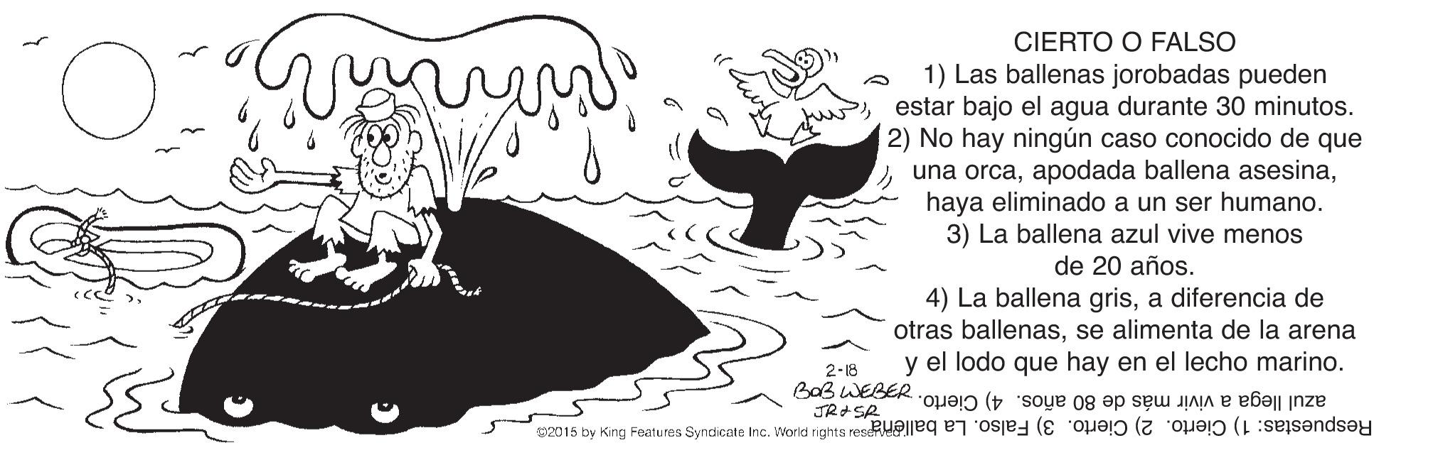 Black-and-white OCR: CIERTO O FALSO 1) Las ballenas jorobadas pueden estar bajo el agua durante 30 minutos. 2) No hay ningún caso conocido de que una orcahaya eliminado a un ser humano. 3) La ballena azul vive menos de 20 años. 4) La ballena grisa diferencia de otras ballenasse alimenta de la arena y el lodo que hay en el lecho marino. 2-18 BaB WEBER JRSR azul llega a vivir más de 80 años. 4) Cierto. Respuestas: 1) Cierto. 2) Cierto. 3) Falso. La ballemaa suu pom on n t p same Buy kg SIZA CIERTO O FALSO 1) Las ballenas jorobadas pueden estar bajo el agua durante 30 minutos. 2) No hay ningún caso conocido de que una orcaapodada ballena asesinahaya eliminado a un ser humano. 3) La ballena azul vive menos de 20 años. 4) La ballena grisa diferencia de otras ballenasse alimenta de la arena y el lodo que hay en el lecho marino. 2-18 BaB WEBER JRSR azul llega a vivir más de 80 años. 4) Cierto. Respuestas: 1) Cierto. 2) Cierto. 3) Falso. La ballemaa suu pom on n t p same Buy kg SIZA
