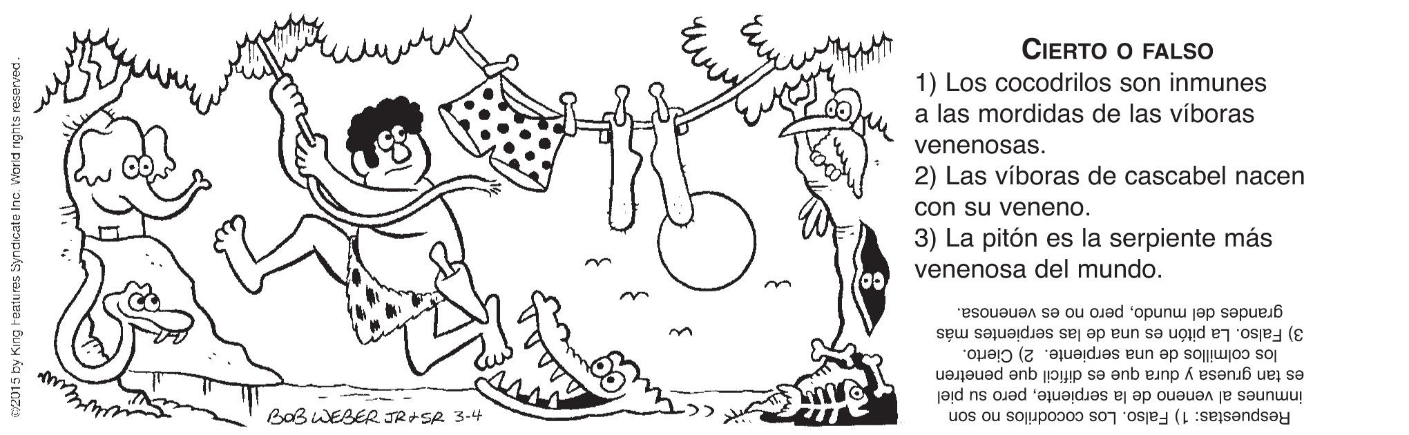 Happy OCR: CIERTO O FALSO 1) Los cocodrilos son inmunes a las mordidas de las víboras venenosas. 2) Las víboras de cascabel nacen con su veneno. 3) La pitón es la serpiente más venenosa del mundo. grandes del mundopero no es venenosa. 3) Falso. La pitón es una de las serpientes más los colmillos de una serpiente. 2) Cierto. es tan gruesa y dura que es difícil que penetren inmunes al veneno de la serpientepero su piel BaB WEBER JR SR 3-4 Respuestas: 1) Falso. Los cocodrilos no son CIERTO O FALSO 1) Los cocodrilos son inmunes a las mordidas de las víboras venenosas. 2) Las víboras de cascabel nacen con su veneno. 3) La pitón es la serpiente más venenosa del mundo. grandes del mundopero no es venenosa. 3) Falso. La pitón es una de las serpientes más los colmillos de una serpiente. 2) Cierto. es tan gruesa y dura que es difícil que penetren inmunes al veneno de la serpientepero su piel BaB WEBER JR SR 3-4 Respuestas: 1) Falso. Los cocodrilos no son
