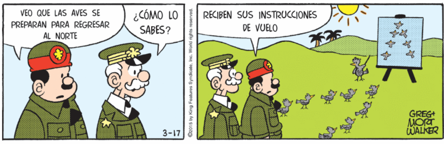Conversation OCR: VEO QUE LAS AVES SE ¿CÓMO LO PRÉPARAN PARA REGRESAR ÁL NORTE RECIBEN SUS INSTRUCCIONES DE VUELO SABES? GREG MOrT WALKER 3-17 S2015 by King Features SyndicateInc. World rights reserved. VEO QUE LAS AVES SE ¿CÓMO LO PRÉPARAN PARA REGRESAR ÁL NORTE RECIBEN SUS INSTRUCCIONES DE VUELO SABES? GREG MOrT WALKER 3-17 S2015 by King Features SyndicateInc. World rights reserved.