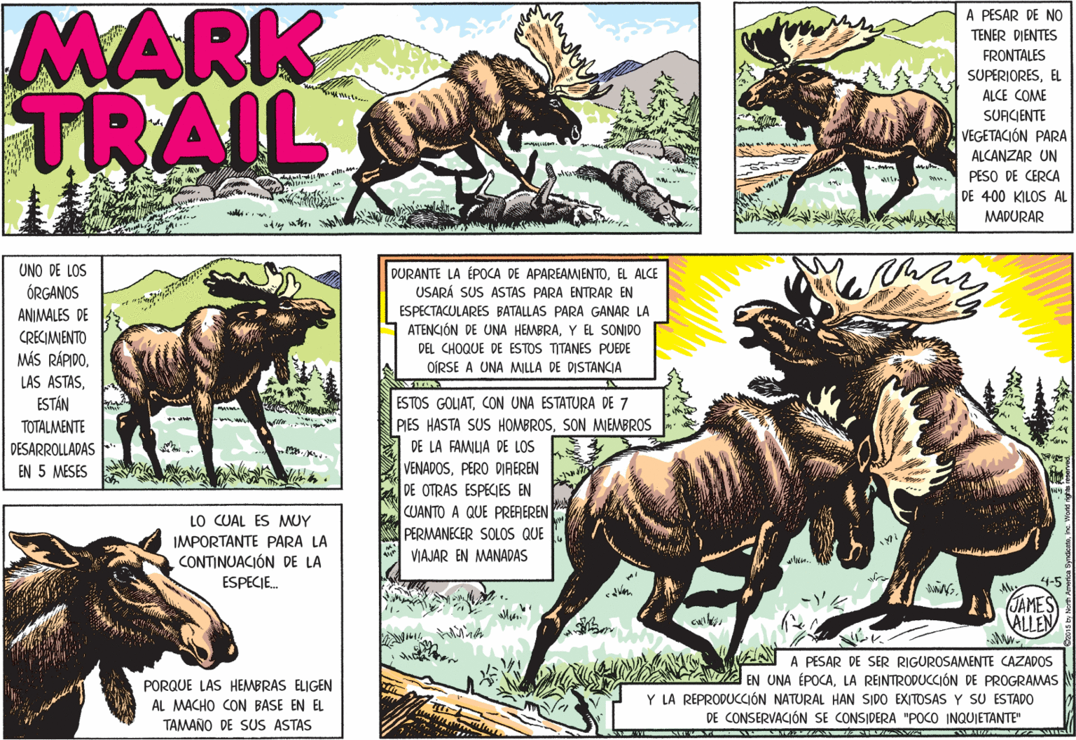 Landscape OCR: MARK TRAIL A PESAR DE NO TENER DIENTES FRONTALES SUPERIORESEL ALCE COME SUACIENTE VEGETACIÓN PARA ALCANZAR UN PESO DE CERCA DE 400 KILOS AL al. MADURAR UNO DE LOS DURANTE LA ÉPOCA DE APAREAMJENTOEL ALCE USARÁ SUS ASTAS PARA ENTRAR EN ÓRGANOS ESPECTACULARES BATALLAS PARA GANAR LA ATENCIÓN DE UNA HEMBRAY EL SONIDO ANIMALES DE CRECIMIENTO MÁS RÁPIDODEL CHOQUE DE ESTOS TITANES PUEDE OÍRSE A UNA MILLA DE DISTANCIA LAS ASTASESTÁN ESTOS GOLIATCON UNA ESTATURA DE 7 PIES HASTA SUS HOMBROSSON MIEMBROS DE LA FAMILIA DE LOS VENADOSPERO DIAEREN TOTALMENTE DESARROLLADAS EN 5 MESES DE OTRAS ESPECIES EN CUANTO A QUE PREREREN PERMANECER SOLOS QUE LO CUAL ES MUY IMPORTANTE PARA LA CONTINUACIÓN DE LA VIAJAR EN MANADAS ESPECIE. JAMES ALLEN ?? ANN A PESAR DE SER RIGUROSAMENTE CAZADOS EN UNA ÉPOCALA REINTRODUCCIÓN DE PROGRAMAS Y LA REPRODUCCIÓN NATURAL HAN SIDO EXITOSAS Y SU ESTADO DE CONSERVACIÓN SE CONSIDERA "POCO INQUIETANTE" PORQUE LAS HEMBRAS ELIGEN AL MACHO CON BASE EN EL TAMAÑO DE SUS ASTAS MARK TRAIL A PESAR DE NO TENER DIENTES FRONTALES SUPERIORESEL ALCE COME SUACIENTE VEGETACIÓN PARA ALCANZAR UN PESO DE CERCA DE 400 KILOS AL al. MADURAR UNO DE LOS DURANTE LA ÉPOCA DE APAREAMJENTOEL ALCE USARÁ SUS ASTAS PARA ENTRAR EN ÓRGANOS ESPECTACULARES BATALLAS PARA GANAR LA ATENCIÓN DE UNA HEMBRAY EL SONIDO ANIMALES DE CRECIMIENTO MÁS RÁPIDODEL CHOQUE DE ESTOS TITANES PUEDE OÍRSE A UNA MILLA DE DISTANCIA LAS ASTASESTÁN ESTOS GOLIATCON UNA ESTATURA DE 7 PIES HASTA SUS HOMBROSSON MIEMBROS DE LA FAMILIA DE LOS VENADOSPERO DIAEREN TOTALMENTE DESARROLLADAS EN 5 MESES DE OTRAS ESPECIES EN CUANTO A QUE PREREREN PERMANECER SOLOS QUE LO CUAL ES MUY IMPORTANTE PARA LA CONTINUACIÓN DE LA VIAJAR EN MANADAS ESPECIE. JAMES ALLEN ? ? ANN A PESAR DE SER RIGUROSAMENTE CAZADOS EN UNA ÉPOCALA REINTRODUCCIÓN DE PROGRAMAS Y LA REPRODUCCIÓN NATURAL HAN SIDO EXITOSAS Y SU ESTADO DE CONSERVACIÓN SE CONSIDERA "POCO INQUIETANTE" PORQUE LAS HEMBRAS ELIGEN AL MACHO CON BASE EN EL TAMAÑO DE SUS ASTAS