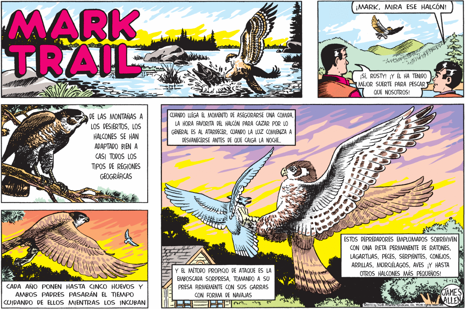 Bird OCR: ¡MARKMIRA ESE HALCÓN! MARK TRAIL SÍRUSTY! Y ÉL HA TENIDO MEJOR SUERTE PARA PESCAR QUE NOSOTROS! CUANDO LLEGA EL MOMENTO DE ASEGURARSE UNA COMDALA HORA FAVORITA DEL HALCÓN PARA CAZAR POR LO DE LAS MONTAÑAS A LOS DESJERTOSLOS HALCONES SE HAN GENERAL ES AL ATARDECERCUANDO LA LUZ COMENZA A DESVANECERSE ANTES DE QUE CAIGA LA NOCHE. ADAPTADO BIEN A CASI TODOS LOS TIPOS DE REGIONES GEOGRÁRCAS ESTOS DEPREDADORES EMPLUMADOS SOBREVIVEN CON UNA DIETA PERMANENTE DE RATONESAVES ¡Y HASTA OTROS HALCONES MÁS PEQUEÑOS! Y EL MÉTODO PROPICIO DE ATAQUE ES LA EMBOSCADA SORPRESATOMANDO A SU CADA AÑO PONEN HASTA CINCO HUEVOS Y AMBOS PADRES PASARÁN EL TJEMPO CUIDANDO DE ELLOS MIENTRAS LOS INCUBAN PRESA ARMEMENTE CON SUS GARRAS JAMES ALLEN CON FORMA DE NAWAJAS C01s by North kchen ndcIne. Word righ ¡MARKMIRA ESE HALCÓN! MARK TRAIL SÍRUSTY! Y ÉL HA TENIDO MEJOR SUERTE PARA PESCAR QUE NOSOTROS! CUANDO LLEGA EL MOMENTO DE ASEGURARSE UNA COMDALA HORA FAVORITA DEL HALCÓN PARA CAZAR POR LO DE LAS MONTAÑAS A LOS DESJERTOSLOS HALCONES SE HAN GENERAL ES AL ATARDECERCUANDO LA LUZ COMENZA A DESVANECERSE ANTES DE QUE CAIGA LA NOCHE. ADAPTADO BIEN A CASI TODOS LOS TIPOS DE REGIONES GEOGRÁRCAS ESTOS DEPREDADORES EMPLUMADOS SOBREVIVEN CON UNA DIETA PERMANENTE DE RATONESAVES ¡Y HASTA OTROS HALCONES MÁS PEQUEÑOS! Y EL MÉTODO PROPICIO DE ATAQUE ES LA EMBOSCADA SORPRESATOMANDO A SU CADA AÑO PONEN HASTA CINCO HUEVOS Y AMBOS PADRES PASARÁN EL TJEMPO CUIDANDO DE ELLOS MIENTRAS LOS INCUBAN PRESA ARMEMENTE CON SUS GARRAS JAMES ALLEN CON FORMA DE NAWAJAS C01s by North kchen ndcIne. Word righ