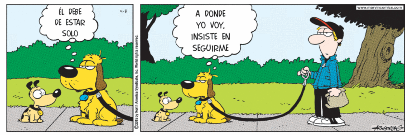 Terrestrial plant OCR: www.marvincomics.com ÉL DEBE A DONDE YO VOYDE ESTAR SOLO INSISTE EN SEGUIRME ASTRAG www.marvincomics.com ÉL DEBE A DONDE YO VOYDE ESTAR SOLO INSISTE EN SEGUIRME ASTRAG