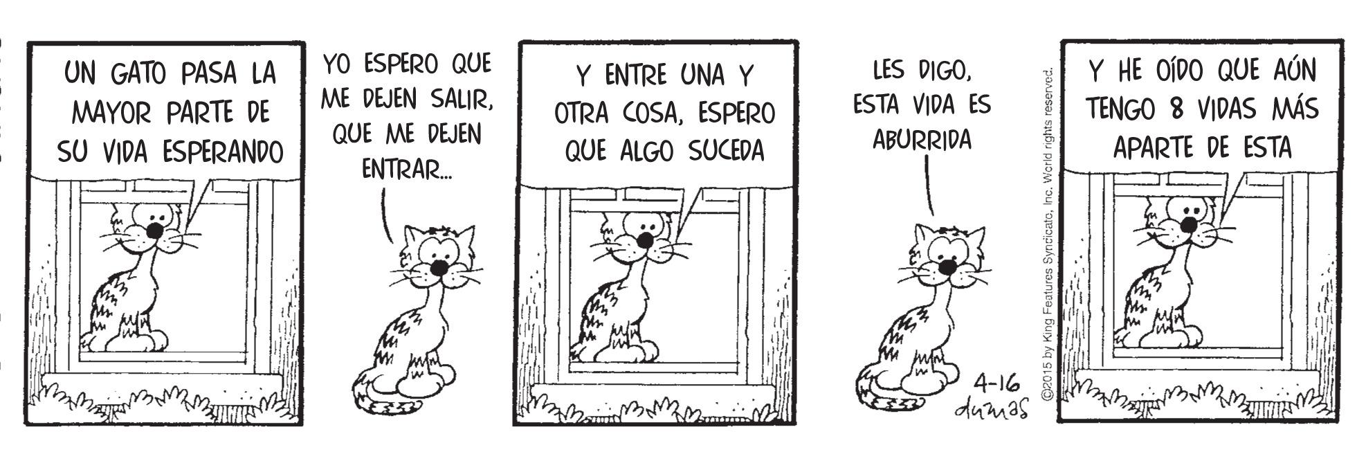 Font OCR: UN GATO PASA LA MAYOR PARTE DE SU VIDA ESPERANDO YO ESPERO QUE ME DEJEN SALIRESTA VIDA ES Y HE OÍDO QUE AÚN TENGO 8 VIDAS MÁS Y ENTRE UNA Y OTRA COSAESPERO QUE ME DEJEN QUE ALGO SUCEDA ABURRIDA APARTE DE ESTA ENTRAR. 4-16 dumas UN GATO PASA LA MAYOR PARTE DE SU VIDA ESPERANDO YO ESPERO QUE ME DEJEN SALIRLES DIGOESTA VIDA ES Y HE OÍDO QUE AÚN TENGO 8 VIDAS MÁS Y ENTRE UNA Y OTRA COSAESPERO QUE ME DEJEN QUE ALGO SUCEDA ABURRIDA APARTE DE ESTA ENTRAR. 4-16 dumas