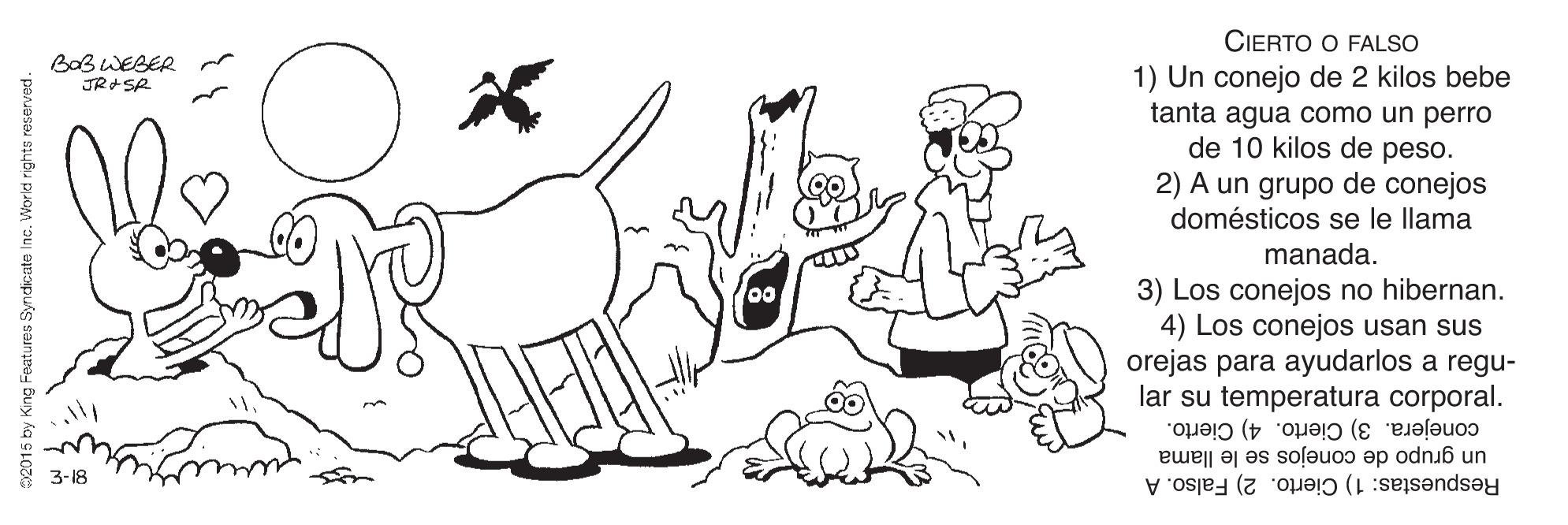 Gesture OCR: CIERTO O FALSO 1) Un conejo de 2 kilos bebe tanta agua como un perro de 10 kilos de peso. 2) A un grupo de conejos domésticos se le llama BoB WEBER manada. 3) Los conejos no hibernan. 4) Los conejos usan sus orejas para ayudarlos a regu- lar su temperatura corporal. 00 conejera. 3) Cierto. 4) Cierto. un grupo de conejos se le llama Respuestas: 1) Cierto. 2) Falso. A 3-18 2015 by King Features Syndicate Inc. World rights reserved. CIERTO O FALSO 1) Un conejo de 2 kilos bebe tanta agua como un perro de 10 kilos de peso. 2) A un grupo de conejos domésticos se le llama BoB WEBER manada. 3) Los conejos no hibernan. 4) Los conejos usan sus orejas para ayudarlos a regu- lar su temperatura corporal. 00 conejera. 3) Cierto. 4) Cierto. un grupo de conejos se le llama Respuestas: 1) Cierto. 2) Falso. A 3-18 2015 by King Features Syndicate Inc. World rights reserved.