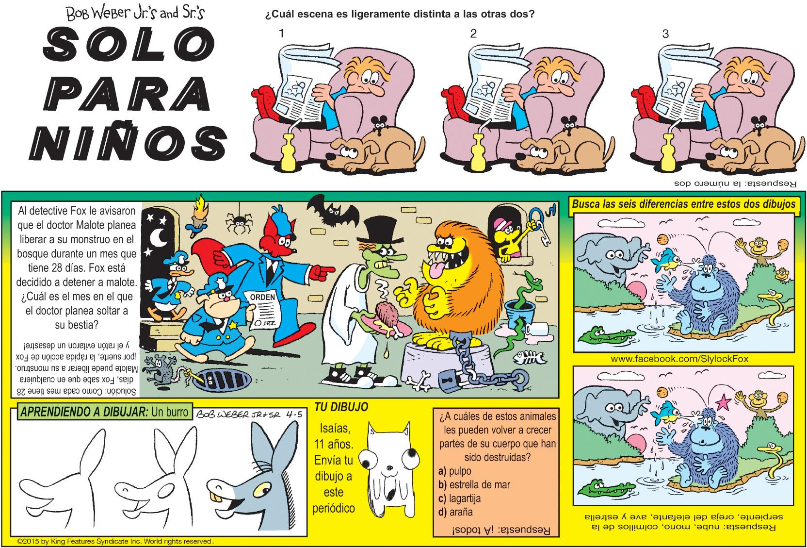 Fictional character OCR: BOB WEBer Jr.'s and Sr.'s ¿Cuál escena es ligeramente distinta a las otras dos? SOLO PARA NIÑOS Respuesta: la número dos Busca las seis diferencias entre estos dos dibujos Al detective Fox le avisaron que el doctor Malote planea liberar a su monstruo en el bosque durante un mes que tiene 28 días. Fox está decidido a detener a malote. ¿Cuál es el mes en el que el doctor planea soltar a su bestia? ORDEN y el ratón evitaron un desastre! ipor suertela rápida acción de Fox www.facebook.com/SlylockFox Malote puede liberar a su monstruo. diasFox sabe que en cualquiera Solución: Como cada mes tiene 28 HAPRENDIENDO A DIBUJAR: Un burro BaB WEBER JRASA 4-5 TU DIBUJO ¿A cuáles de estos animales les pueden volver a crecer partes de su cuerpo que han sido destruidas? a) pulpo b) estrella de mar c) lagartija d) araña Isaías11 años. Envía tu dibujo a este periódico serpienteave y estrella Respuesta: nubecolmillos de la Respuesta: ¡A todos! ©2015 by King Features Syndicate Inc. World rights reserved. BOB WEBer Jr.'s and Sr.'s ¿Cuál escena es ligeramente distinta a las otras dos? SOLO PARA NIÑOS Respuesta: la número dos Busca las seis diferencias entre estos dos dibujos Al detective Fox le avisaron que el doctor Malote planea liberar a su monstruo en el bosque durante un mes que tiene 28 días. Fox está decidido a detener a malote. ¿Cuál es el mes en el que el doctor planea soltar a su bestia? ORDEN y el ratón evitaron un desastre! ipor suertela rápida acción de Fox www.facebook.com/SlylockFox Malote puede liberar a su monstruo. diasFox sabe que en cualquiera Solución: Como cada mes tiene 28 HAPRENDIENDO A DIBUJAR: Un burro BaB WEBER JRASA 4-5 TU DIBUJO ¿A cuáles de estos animales les pueden volver a crecer partes de su cuerpo que han sido destruidas? a) pulpo b) estrella de mar c) lagartija d) araña Isaías11 años. Envía tu dibujo a este periódico serpienteoreja del elefanteave y estrella Respuesta: nubecolmillos de la Respuesta: ¡A todos! ©2015 by King Features Syndicate Inc. World rights reserved.