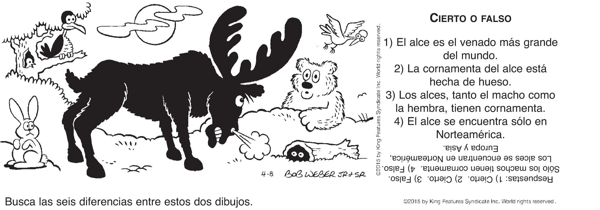 Drawing OCR: CIERTO O FALSO 1) El alce es el venado más grande del mundo. 2) La cornamenta del alce está hecha de hueso. 3) Los alcestanto el macho como la hembratienen cornamenta. 4) El alce se encuentra sólo en Norteamérica. Europa y Asia. Los alces se encuentran en NorteaméricaSólo los machos tienen cornamenta. 4) Falso. Respuestas: 1) Cierto. 2) Cierto. 3) Falso. 4-8 BOB WEBER JRISR Busca las seis diferencias entre estos dos dibujos. 2015 by King Features Syndicate Inc. World rights reserved. CIERTO O FALSO 1) El alce es el venado más grande del mundo. 2) La cornamenta del alce está hecha de hueso. 3) Los alcestanto el macho como la hembratienen cornamenta. 4) El alce se encuentra sólo en Norteamérica. Europa y Asia. Los alces se encuentran en NorteaméricaSólo los machos tienen cornamenta. 4) Falso. Respuestas: 1) Cierto. 2) Cierto. 3) Falso. 4-8 BOB WEBER JRISR Busca las seis diferencias entre estos dos dibujos. 2015 by King Features Syndicate Inc. World rights reserved.
