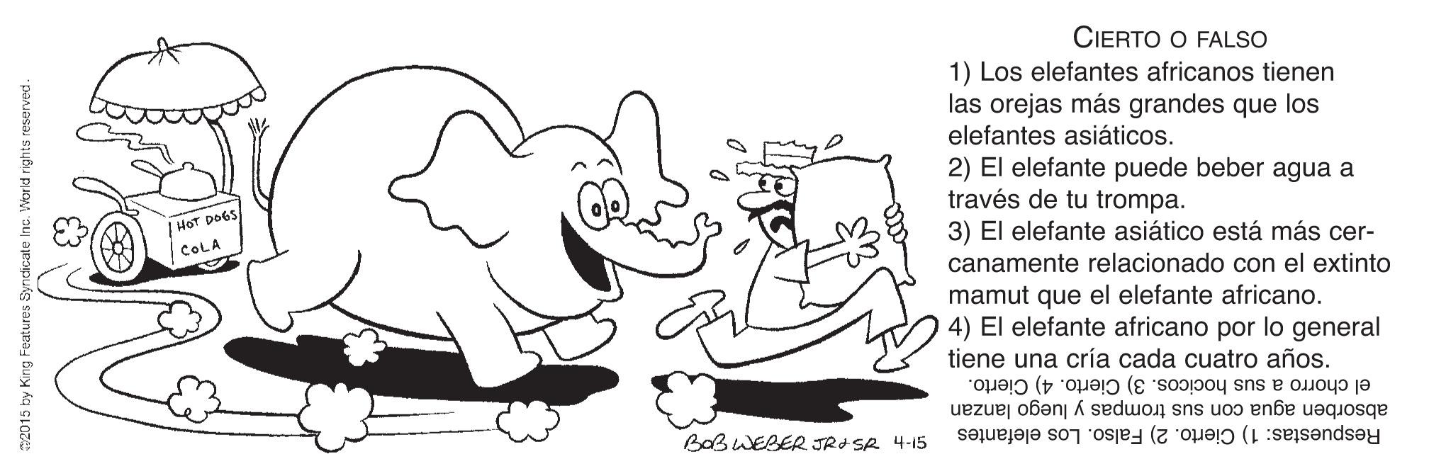 Line OCR: CIERTO O FALSO 1) Los elefantes africanos tienen las orejas más grandes que los elefantes asiáticos. 2) El elefante puede beber agua a través de tu trompa. 3) El elefante asiático está más cer- HOT DOGS COLA canamente relacionado con el extinto mamut que el elefante africano. 4) El elefante africano por lo general tiene una cría cada cuatro años. el chorro a sus hocicos. 3) Cierto. 4) Cierto. absorben agua con sus trompas y luego lanzan BOBWEBER JRI SA 4-15 Respuestas: 1) Cierto. 2) Falso. Los elefantes 2015 by King Features Syndicate In World rights reserved. CIERTO O FALSO 1) Los elefantes africanos tienen las orejas más grandes que los elefantes asiáticos. 2) El elefante puede beber agua a través de tu trompa. 3) El elefante asiático está más cer- HOT DOGS COLA canamente relacionado con el extinto mamut que el elefante africano. 4) El elefante africano por lo general tiene una cría cada cuatro años. el chorro a sus hocicos. 3) Cierto. 4) Cierto. absorben agua con sus trompas y luego lanzan BOBWEBER JRI SA 4-15 Respuestas: 1) Cierto. 2) Falso. Los elefantes 2015 by King Features Syndicate In World rights reserved.