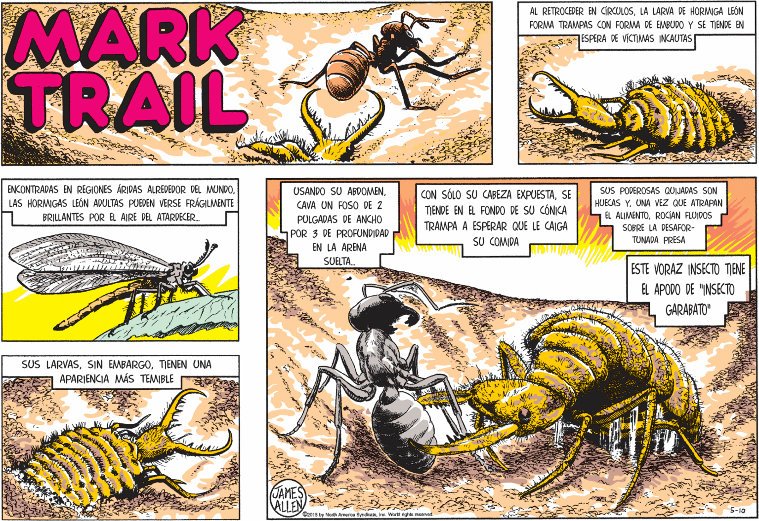 Adaptation OCR: MARK TRAIL AL RETROCEDER EN CIRCULOSLA LARVA DE HORMGA LEÓN FORMA TRAMPAS CON FORMA DE EMBUDO Y SE TIENDE EN TESPERA DE VICTMAS INCAUTAS ENCONTRADAS EN REGIONES ÁRIDAS ALREDEDOR DEL MUNDOLAS HORMIGAS LEÓN ADULTAS PUEDEN VERSE FRÁGILMENTE SUS PODEROSAS QUIJADAS SON USANDO SU ABDOMENCAVA UN FOSO DE 2 CON SÓLO SU CABEZA EXPUESTASE TIENDE EN EL FONDO DE SU CÓNICA HUECAS Y. UNA VEZ QUE ATRAPAN EL ALIMENTOROCIAN FLUIDOS SOBRE LA DESAFOR- BRILLANTES POR EL AIRE DEL ATARDECER. PULGADAS DE ANCHO TRAMPA A ESPERAR QUE LE CAIGA 1POR 3 DE PROFUNDIDAD EN LA ARENA SUELTA SU COMIDA TUNADA PRESA ESTE VORAZ INSECTO TIENE EL APODO DE "INSECTO GARABATO" SUS LARVASTIENEN UNA APARIENCIA MÁS TEMIBLE JAMES ALLEN 5-lo 016 by Norh America Syndcaninc. Worte ght MARK TRAIL AL RETROCEDER EN CIRCULOSLA LARVA DE HORMGA LEÓN FORMA TRAMPAS CON FORMA DE EMBUDO Y SE TIENDE EN TESPERA DE VICTMAS INCAUTAS ENCONTRADAS EN REGIONES ÁRIDAS ALREDEDOR DEL MUNDOLAS HORMIGAS LEÓN ADULTAS PUEDEN VERSE FRÁGILMENTE SUS PODEROSAS QUIJADAS SON USANDO SU ABDOMENCAVA UN FOSO DE 2 CON SÓLO SU CABEZA EXPUESTASE TIENDE EN EL FONDO DE SU CÓNICA HUECAS Y. UNA VEZ QUE ATRAPAN EL ALIMENTOROCIAN FLUIDOS SOBRE LA DESAFOR- BRILLANTES POR EL AIRE DEL ATARDECER. PULGADAS DE ANCHO TRAMPA A ESPERAR QUE LE CAIGA 1POR 3 DE PROFUNDIDAD EN LA ARENA SUELTA SU COMIDA TUNADA PRESA ESTE VORAZ INSECTO TIENE EL APODO DE "INSECTO GARABATO" SUS LARVASSIN EMBARGOTIENEN UNA APARIENCIA MÁS TEMIBLE JAMES ALLEN 5-lo 016 by Norh America Syndcaninc. Worte ght